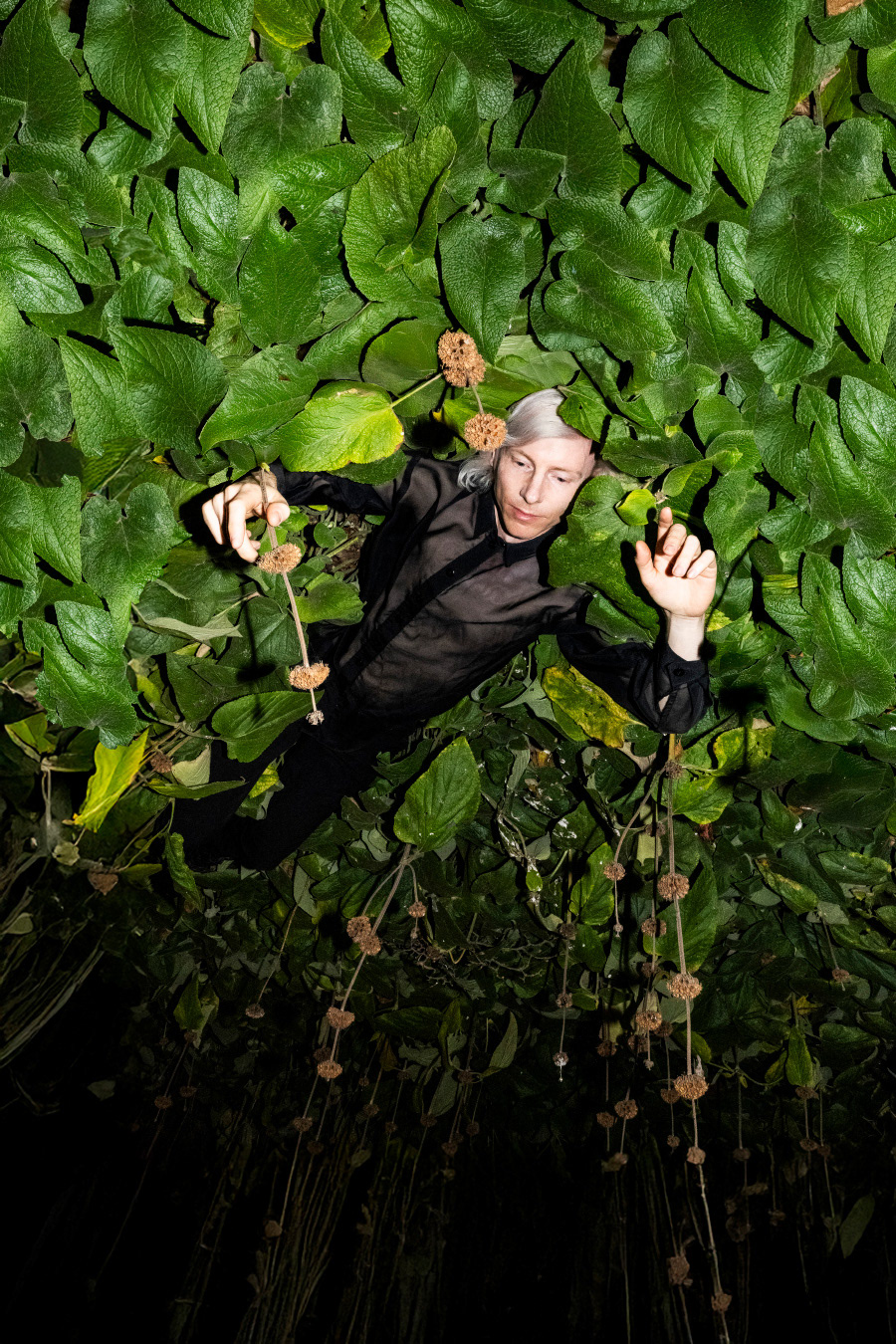 Raf Duran by Petra Katanic