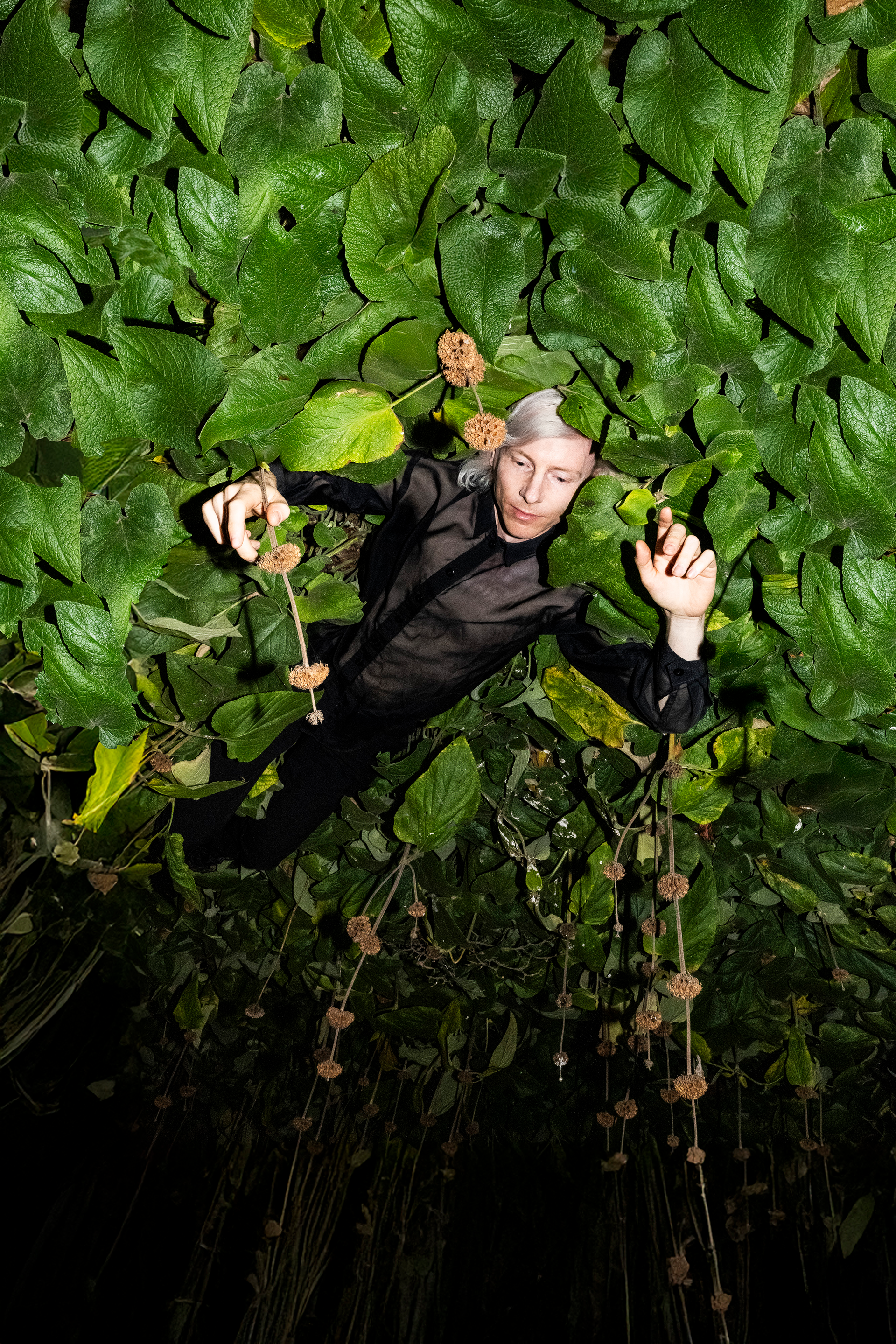 Raf Duran by Petra Katanic