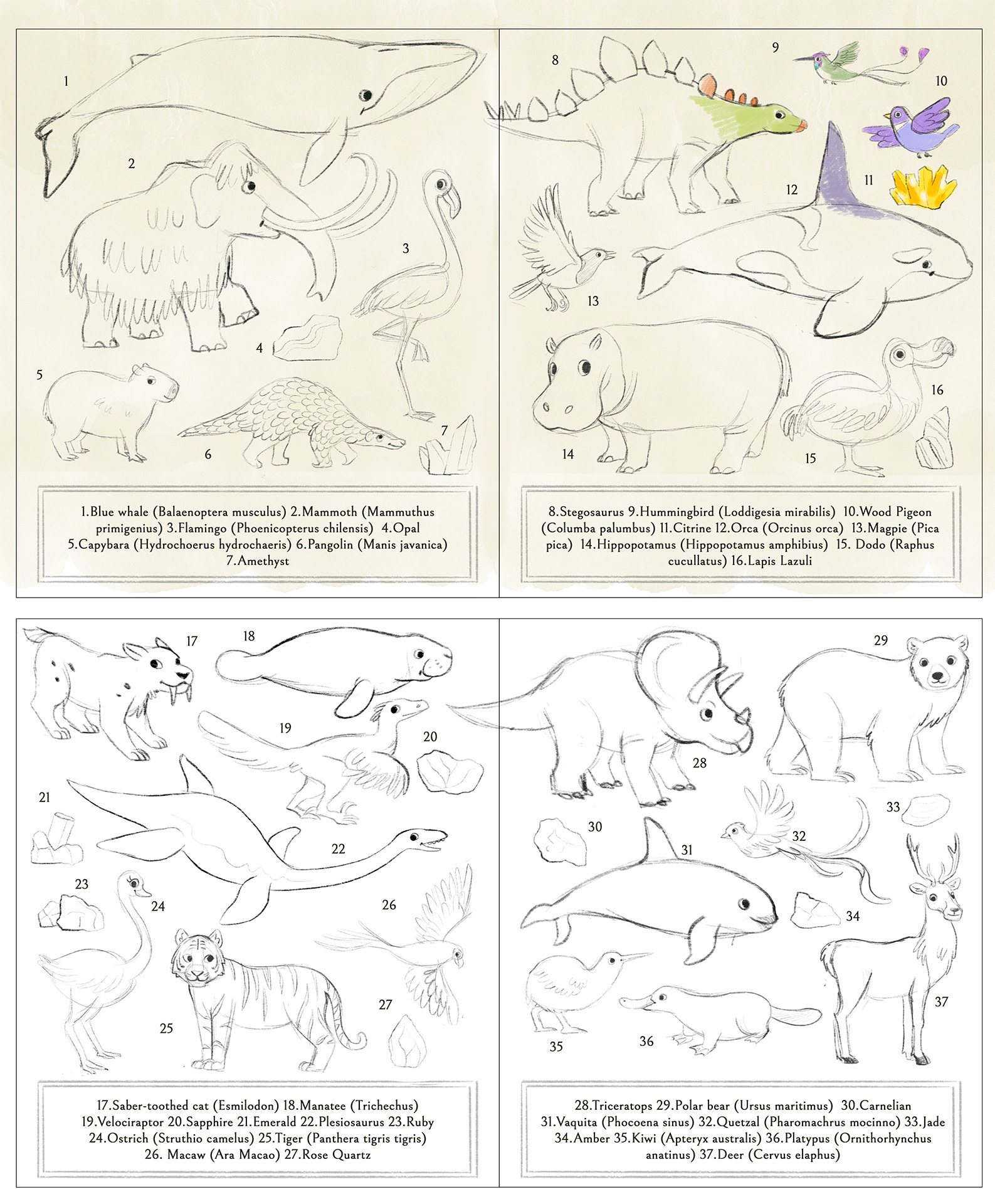 End Papers