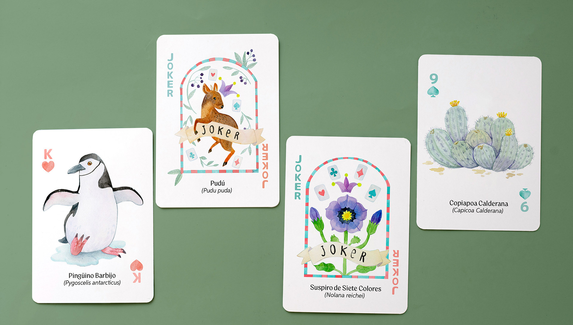 Animals and Plants from Chile (Playing Cards) - La Puzzlera