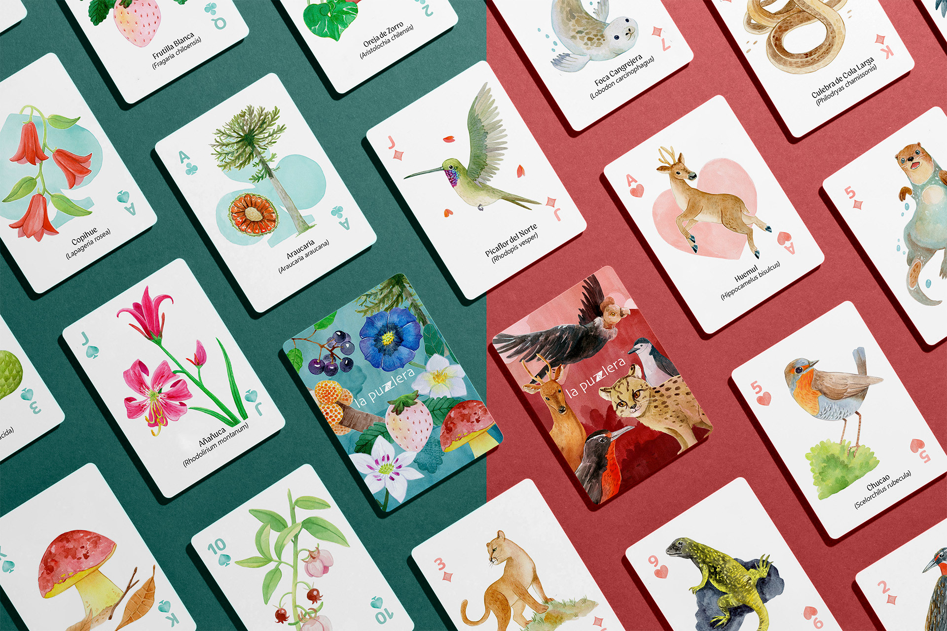 Animals and Plants from Chile (Playing Cards) - La Puzzlera