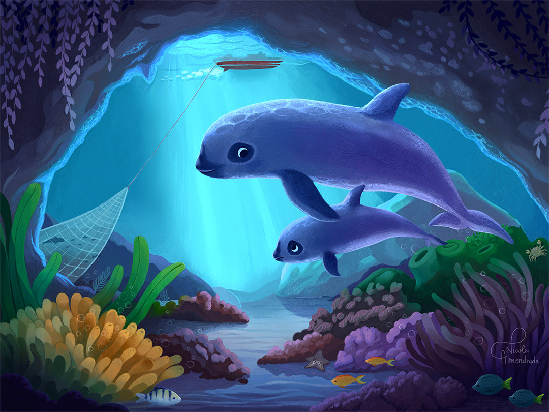 Vaquitas Illustration for Little Thoughts press (US)