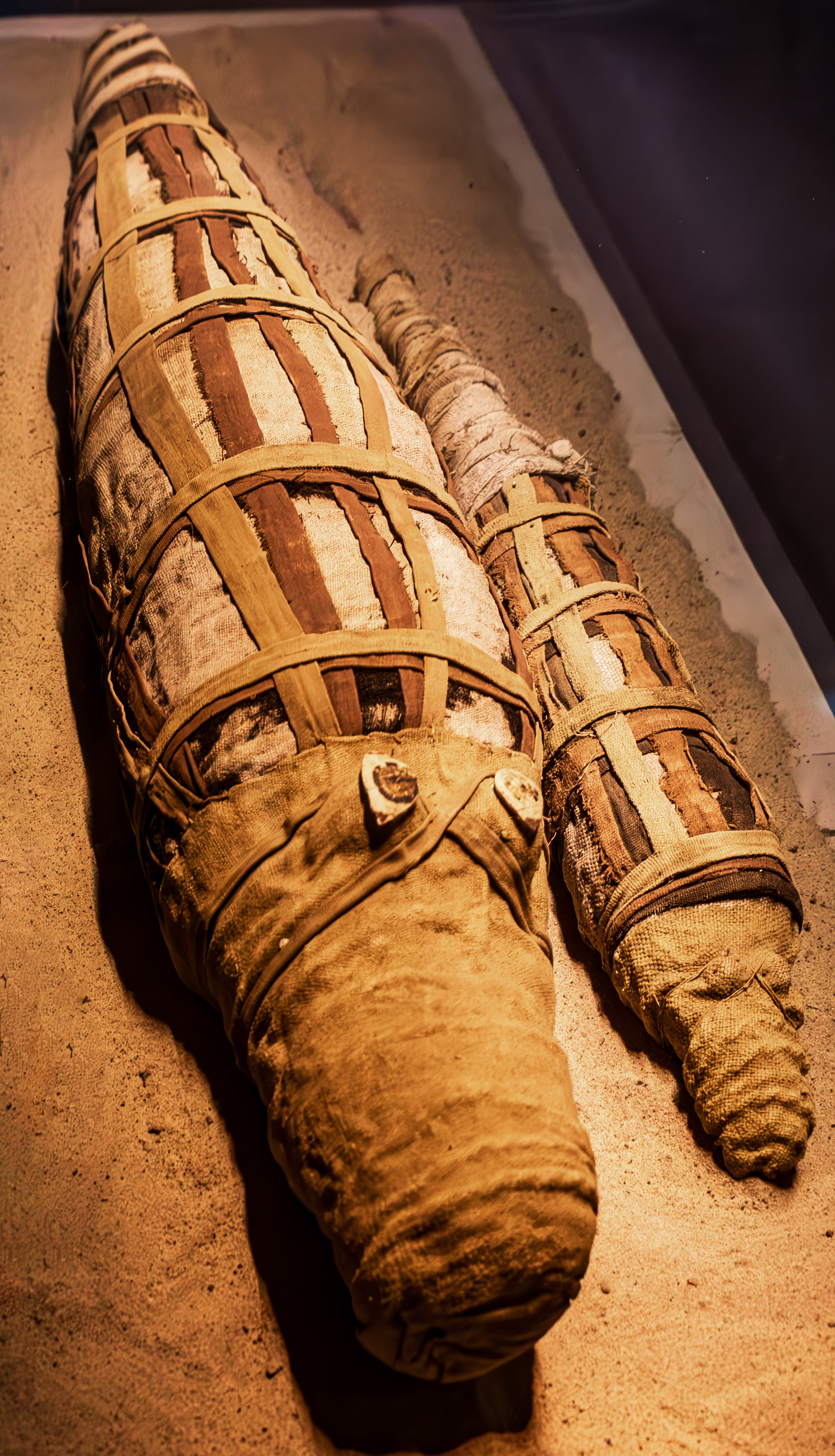 Kom Ombo: Crocodile mummies 