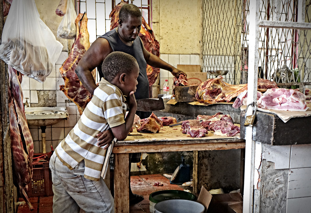 Apprentice Onone vr1