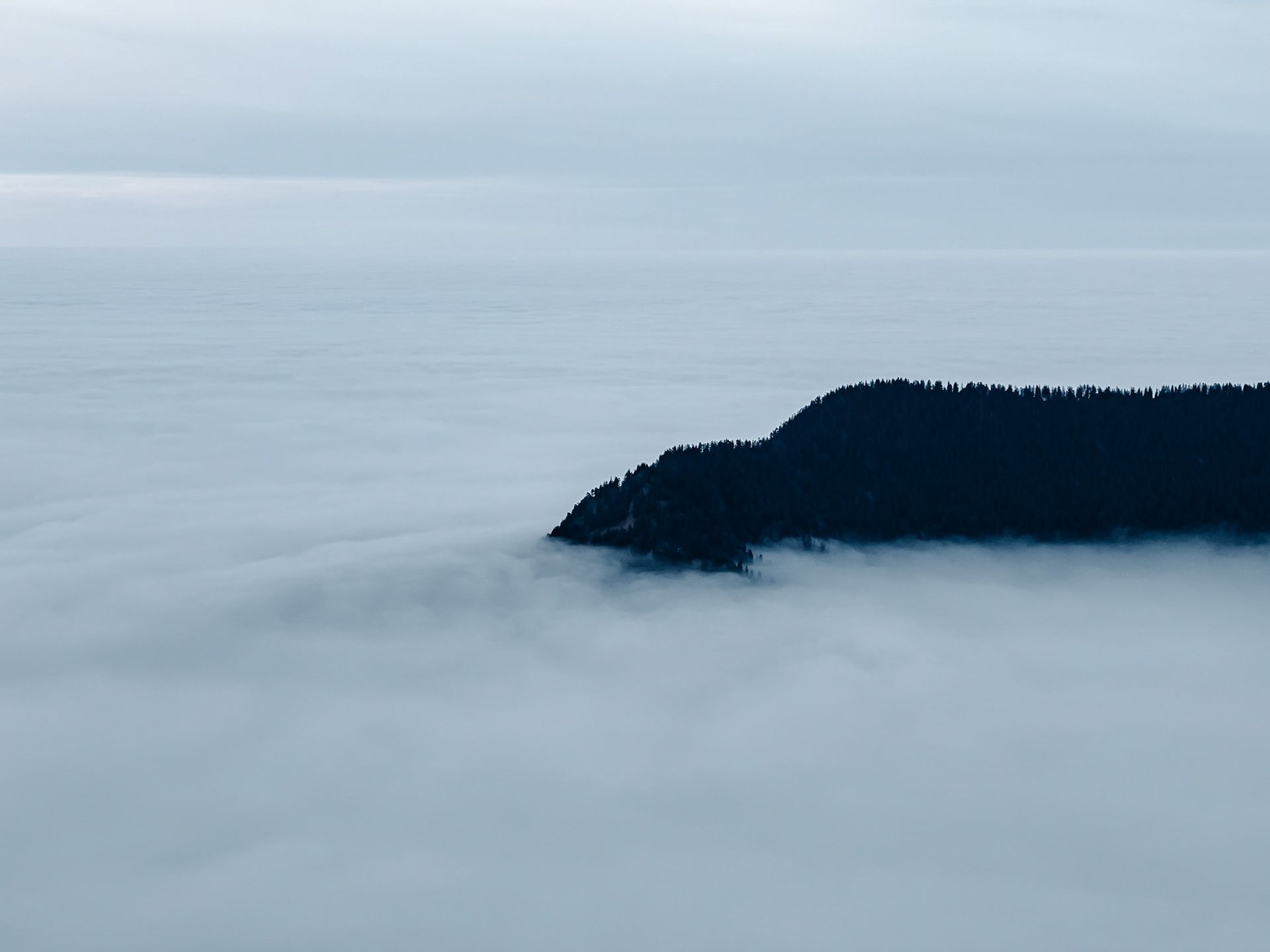 Wooden island in the fog above the Loisachtal