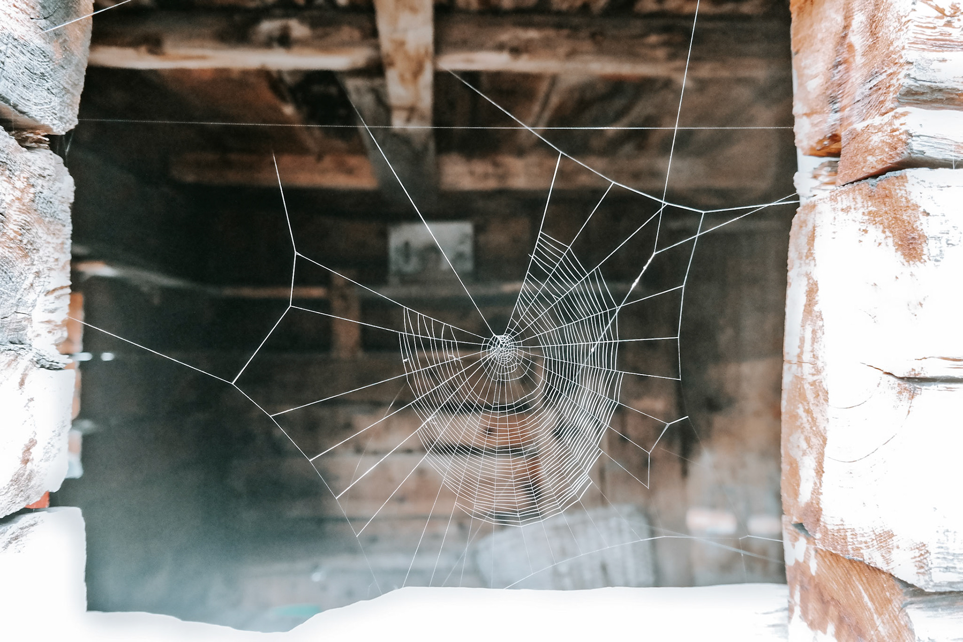 Spiderweb in a window of an abandoned house in Ahrntal