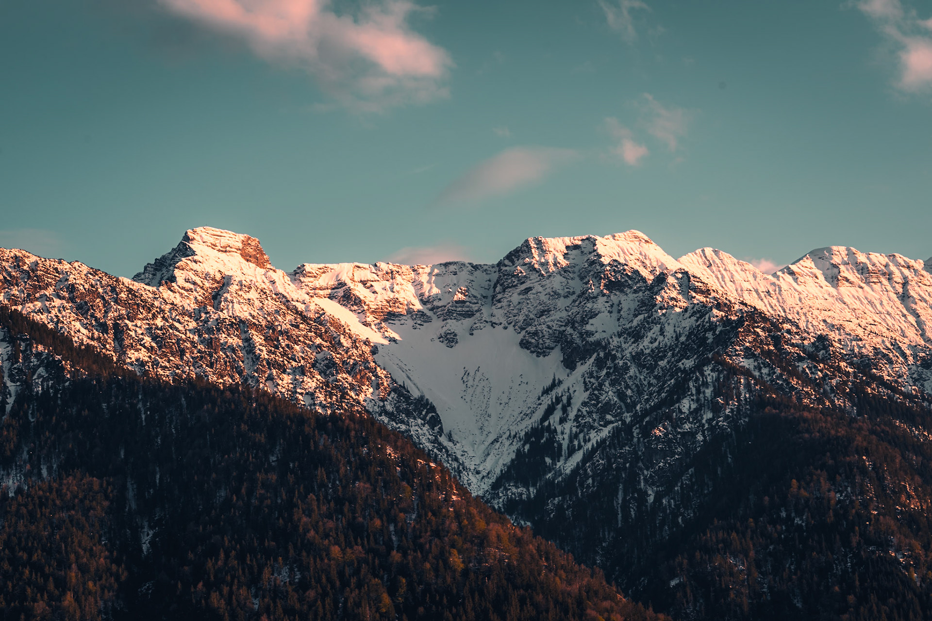 Snowy Kistenkar during spring sunset