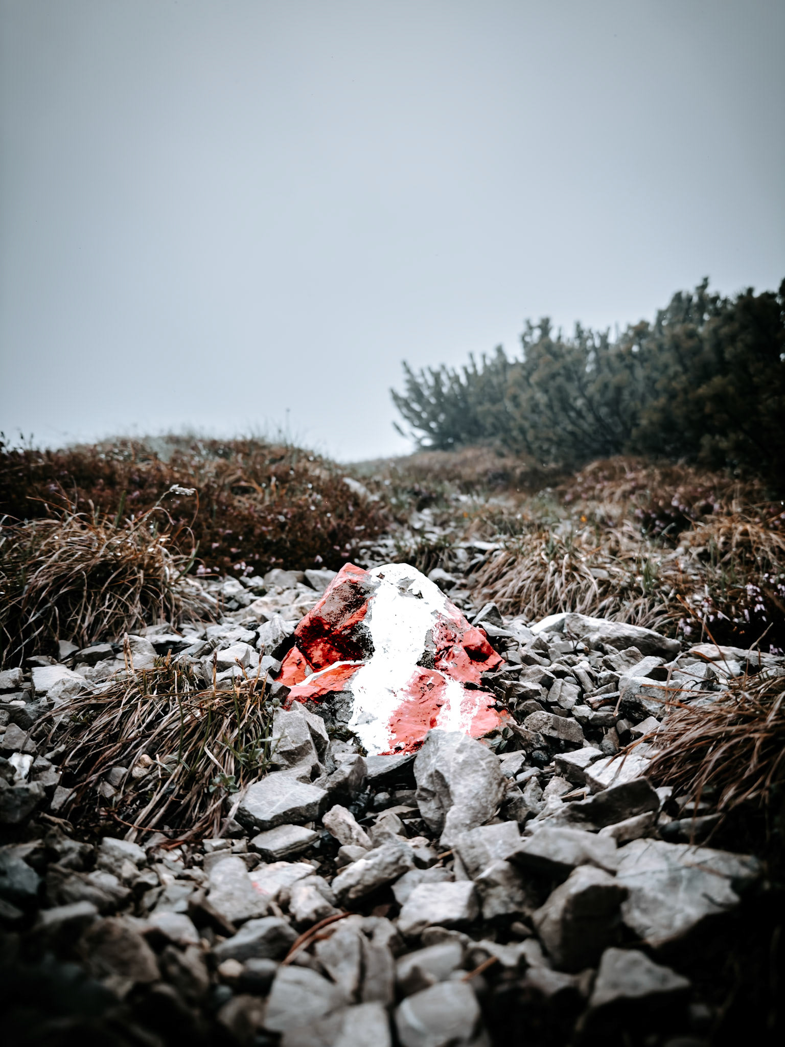 A marked stone on the hiking path
