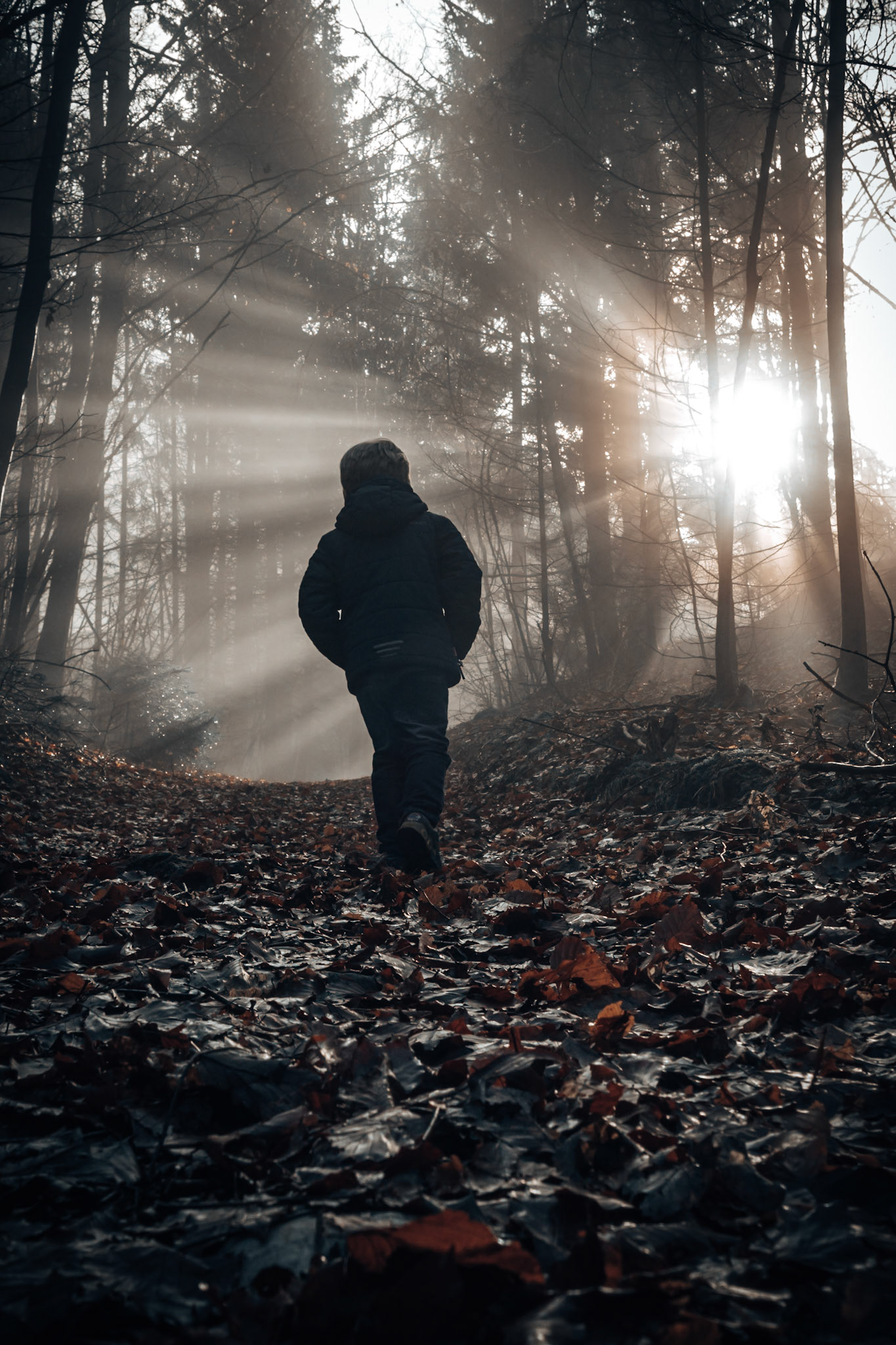 Young boy hiking through moody woods