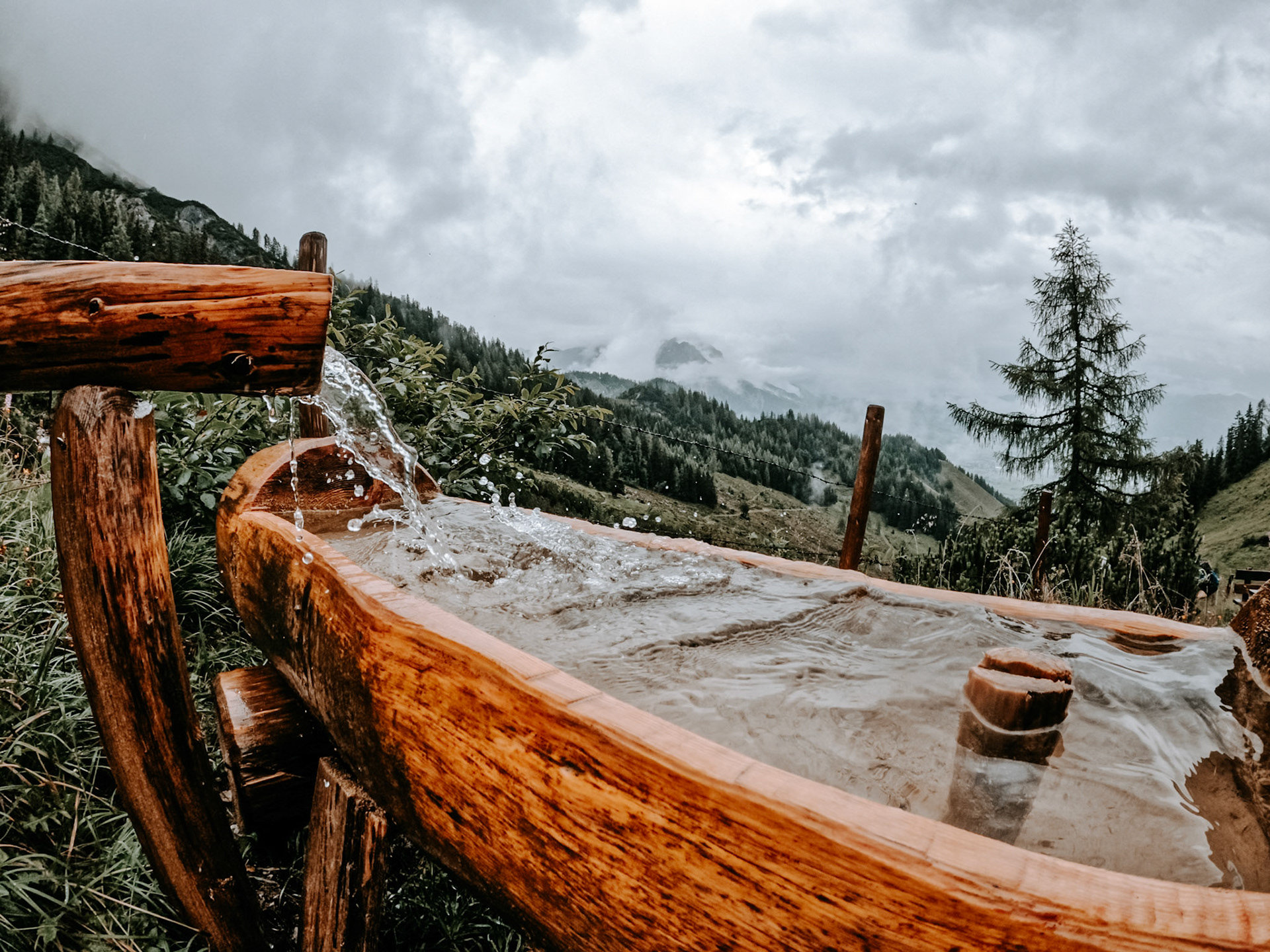 The water floats in the well on the way to the Passauer hut