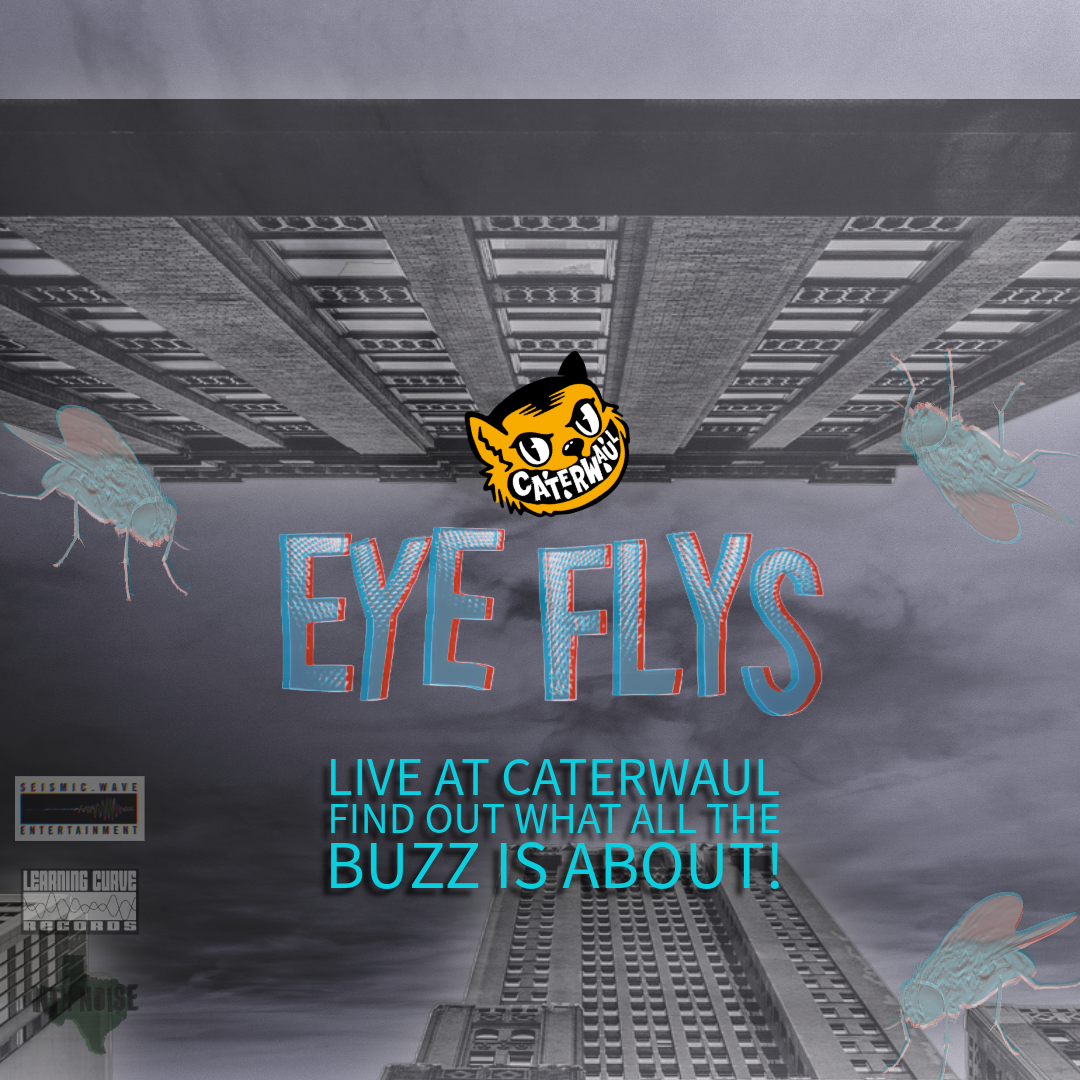Caterwaul Fest 25 - Eye Flys (PA)