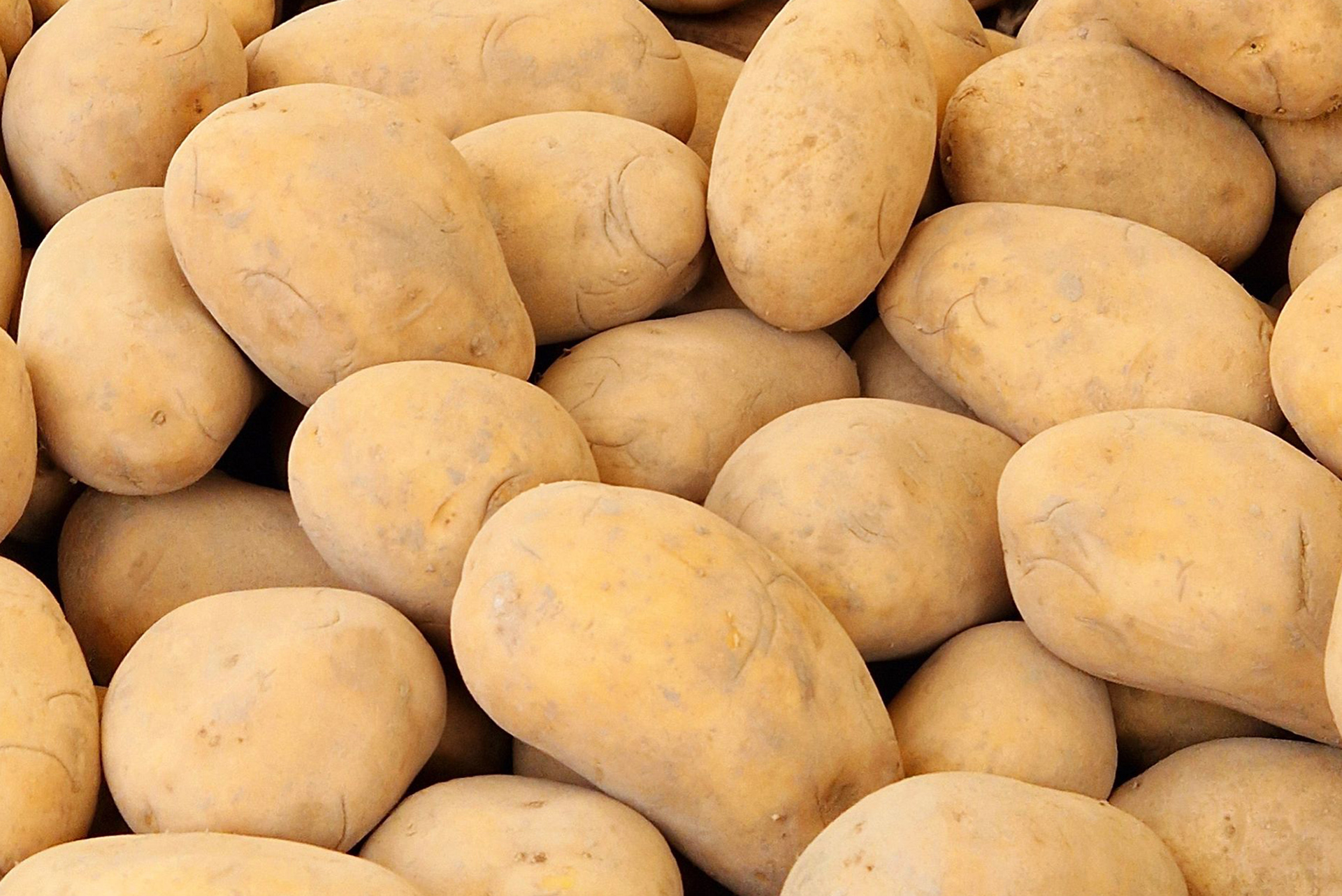 Fresh Potatoes