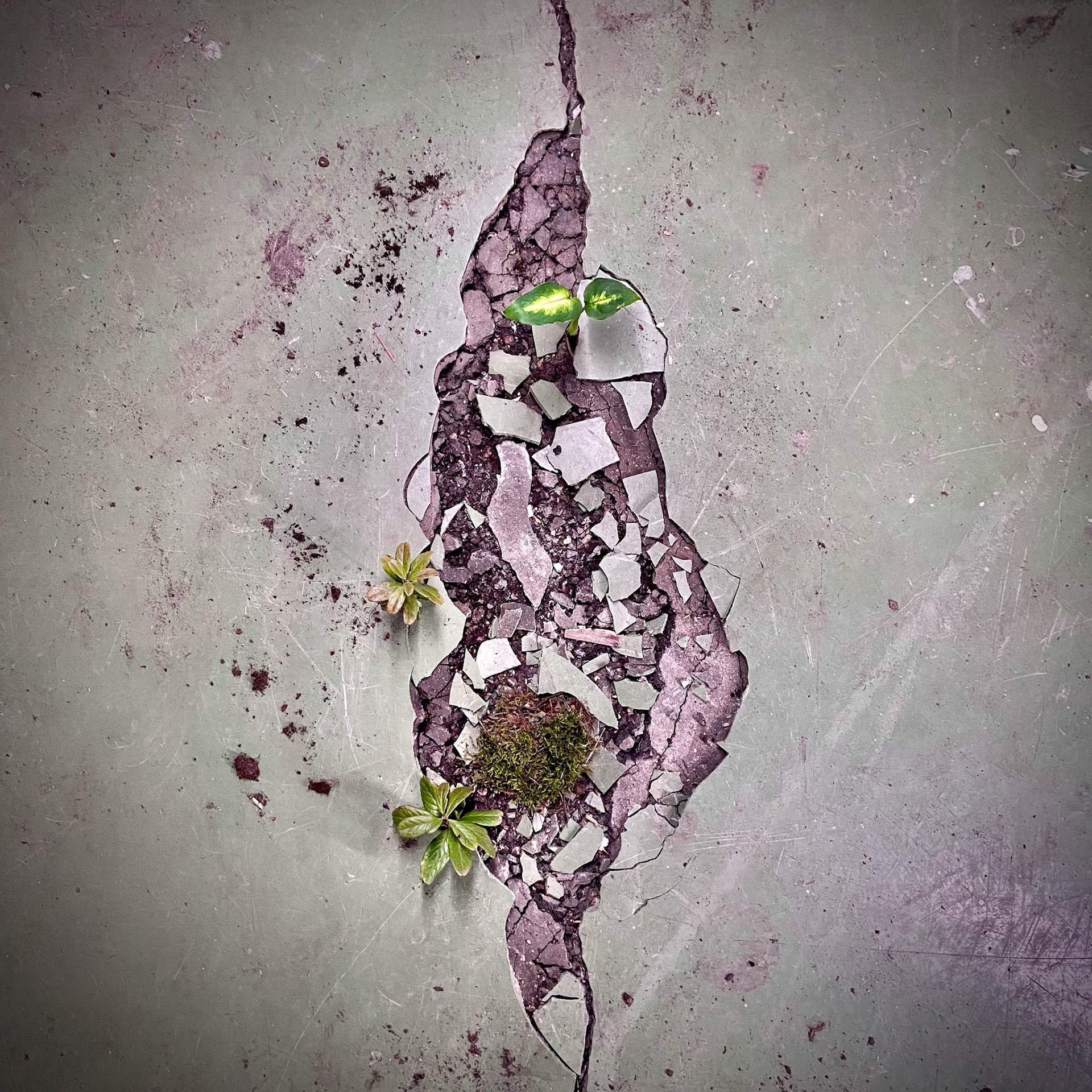 "LOPPU", single cover for Meu, 2022 / to be exhibited at Korpiqueer Exhibition, Kajaani, Oct 2024