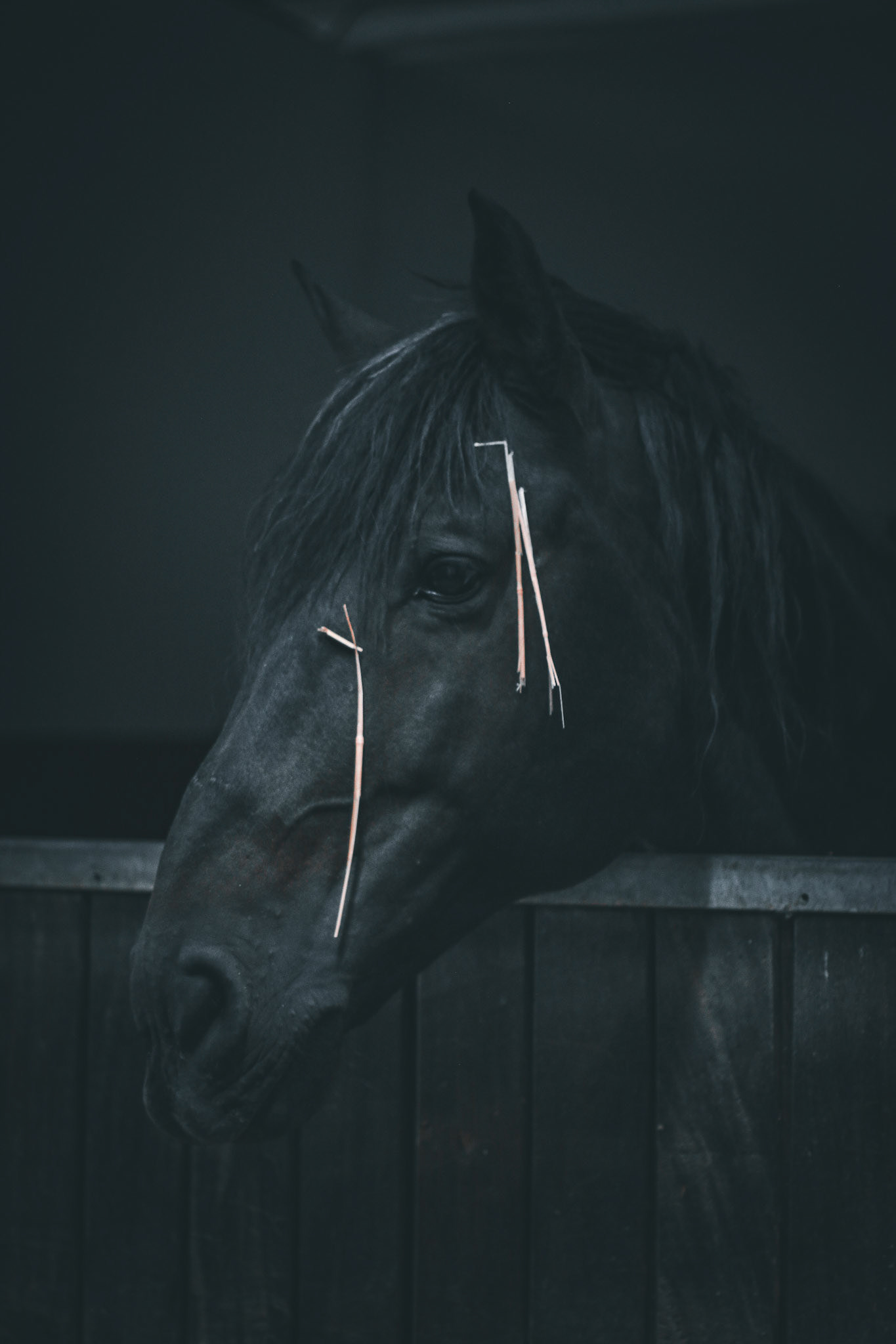 Avant-garde artist portrait, 2024