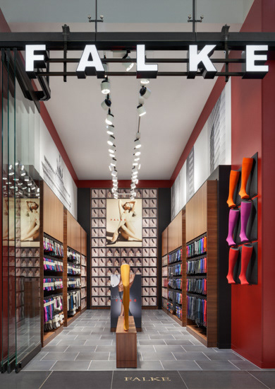Falke | Fotograf: Constantin Meyer