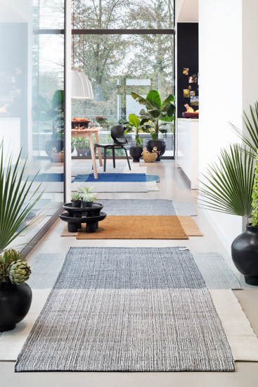 Ames | Fotograf: Constantin Meyer