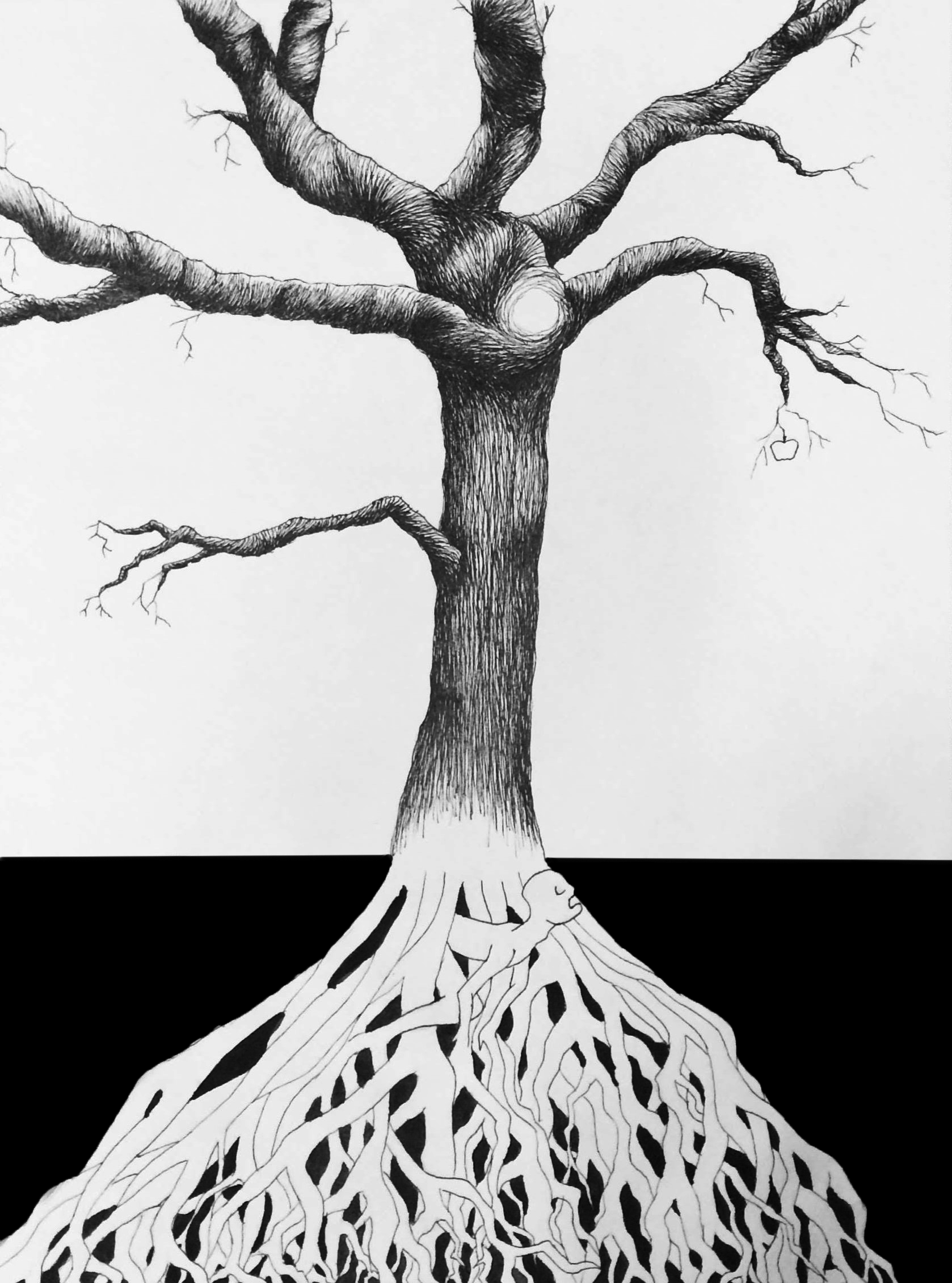 Apple Tree Pen and Ink