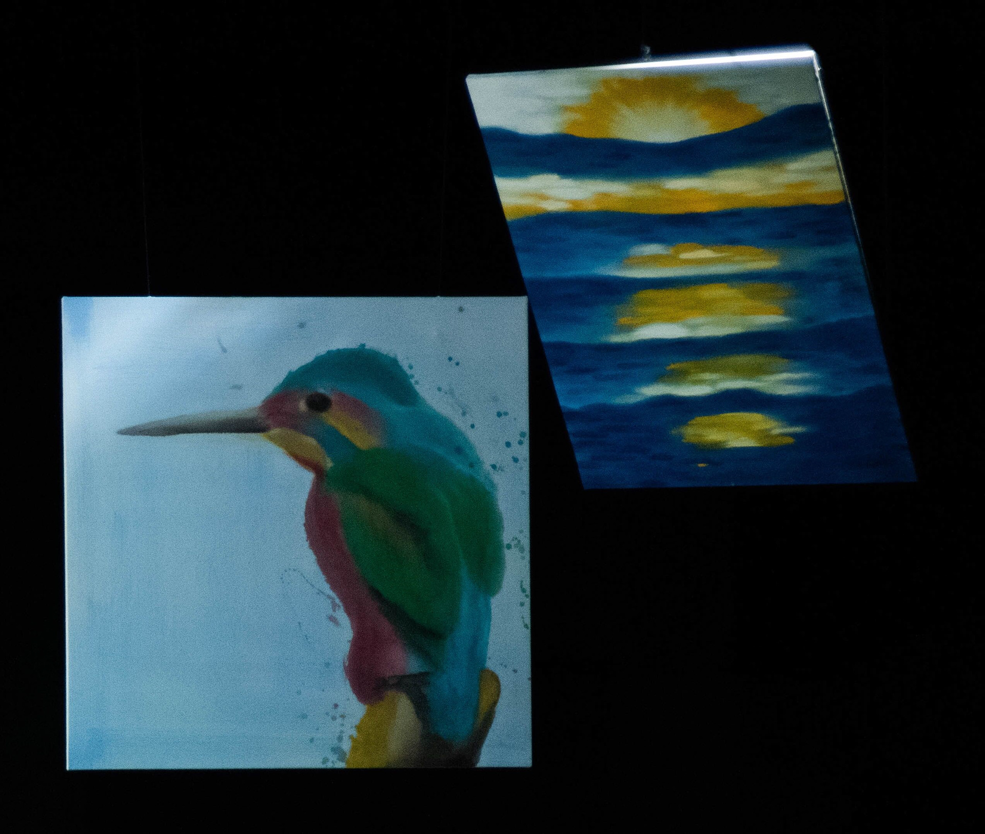 Bird and Sunset close up
