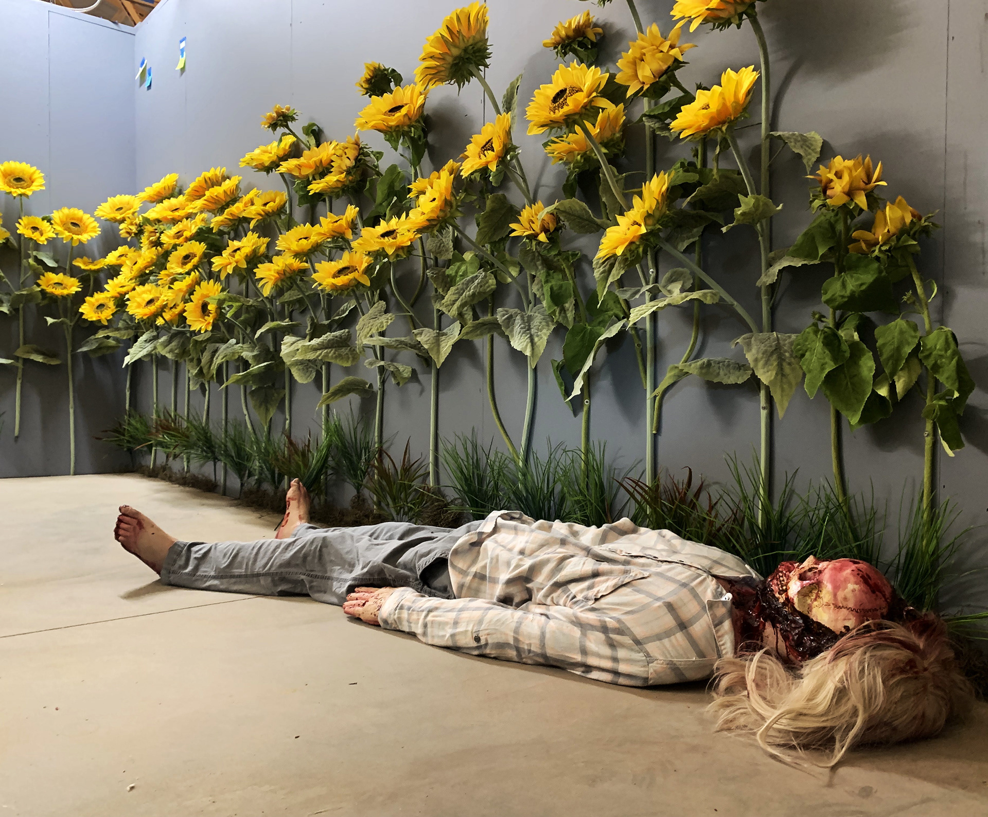 Dead Body in Sunflower Field