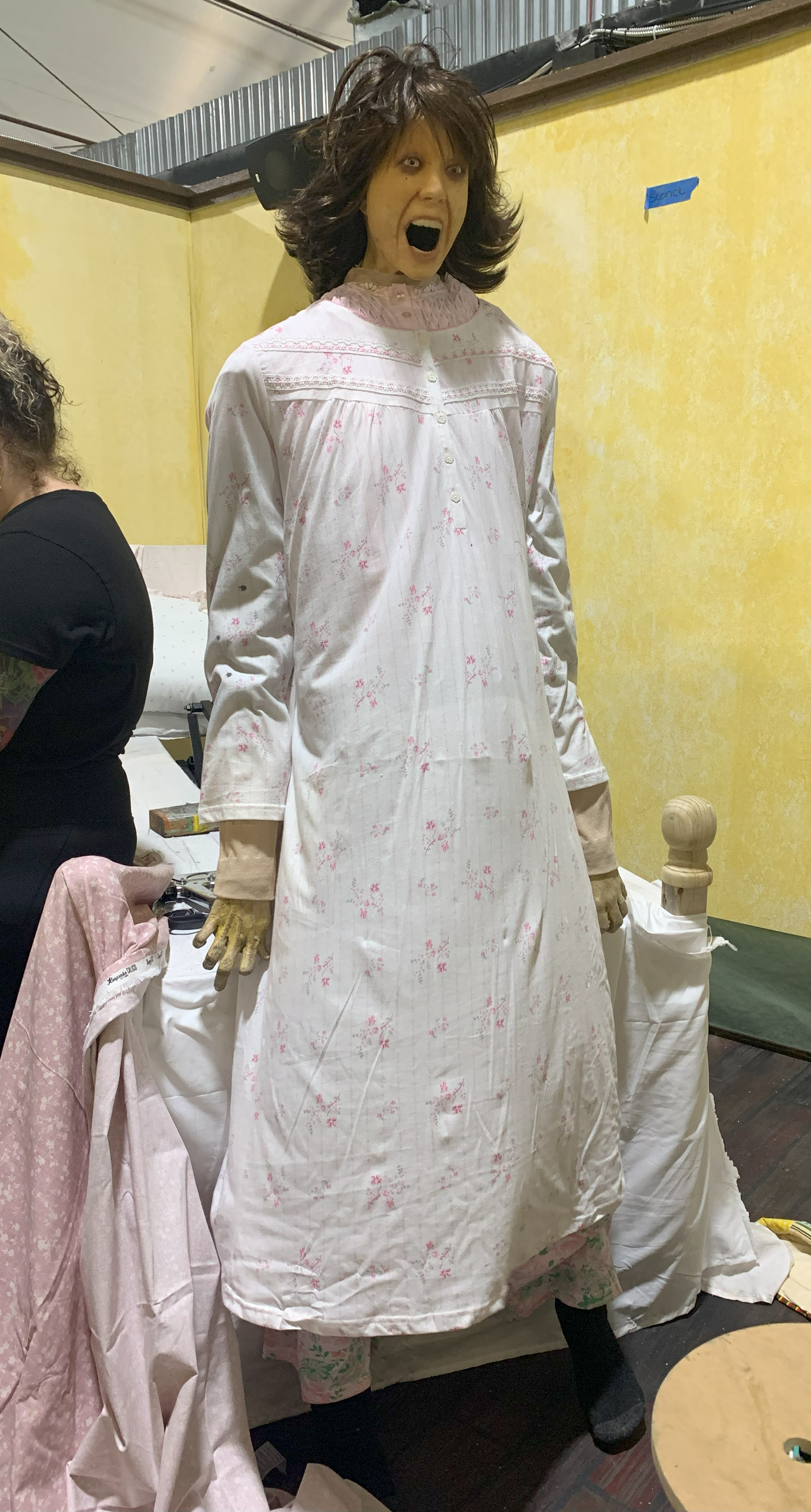 Bedroom Ghost
