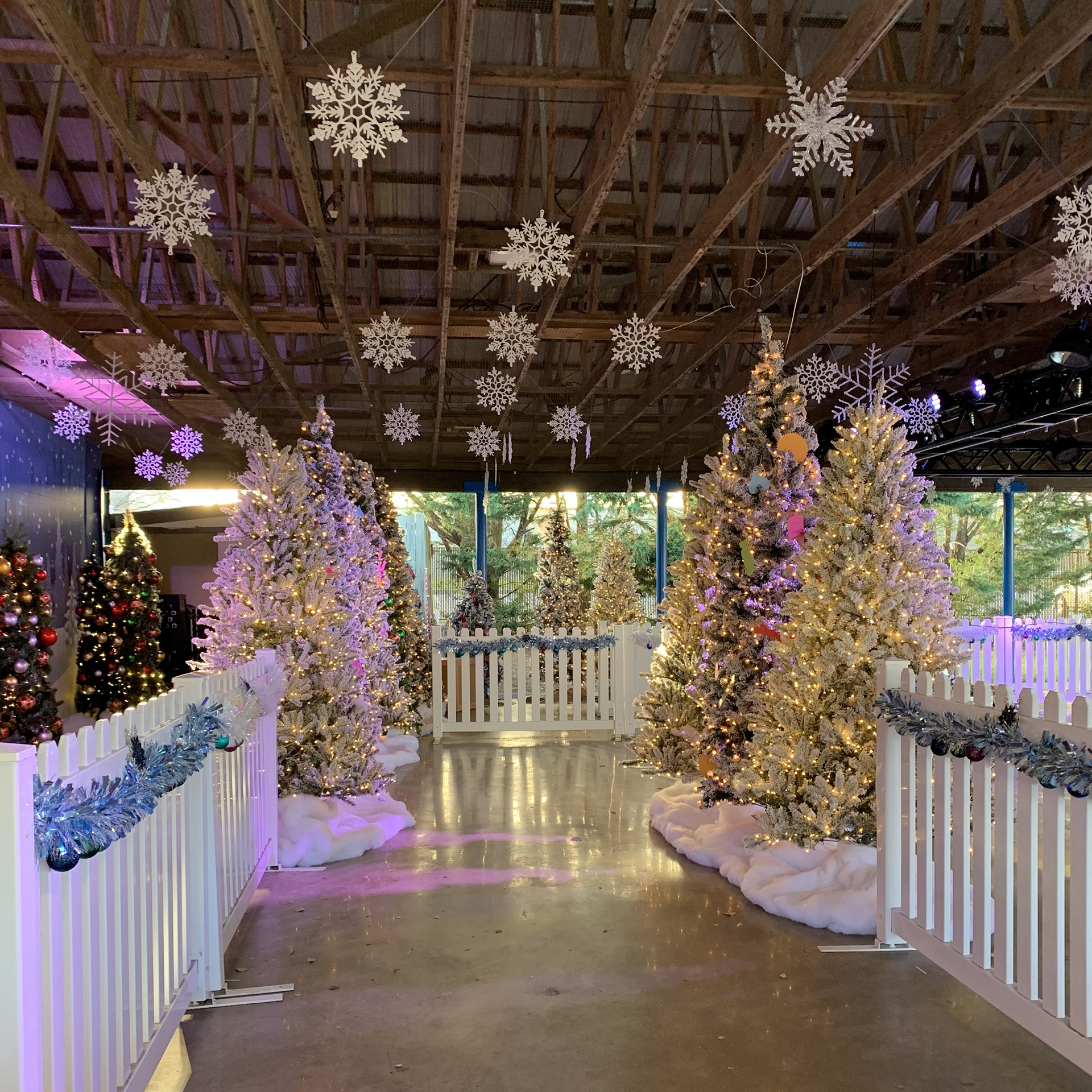 Lit Trees in Queue Line