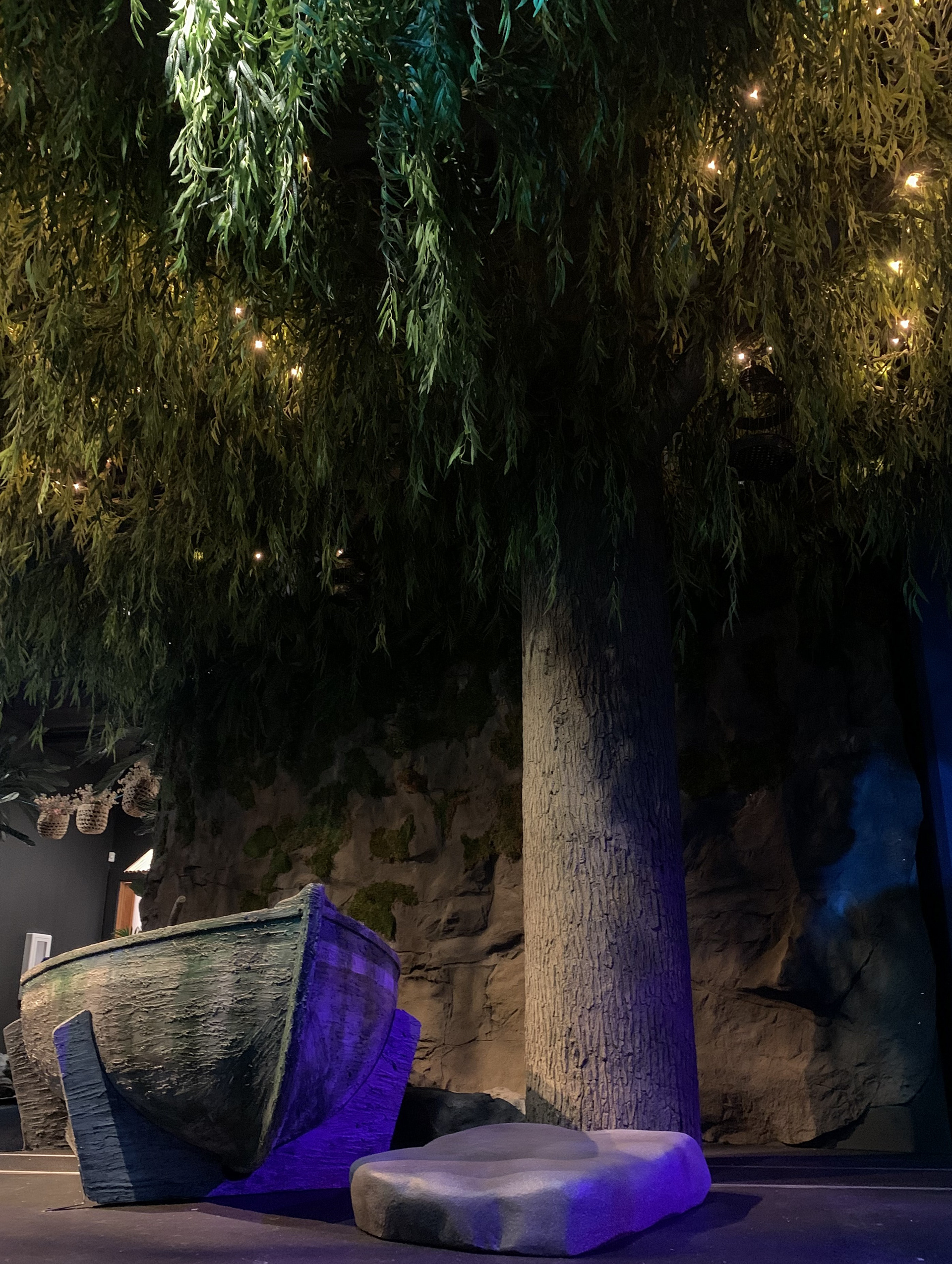 Willow Tree and Boat