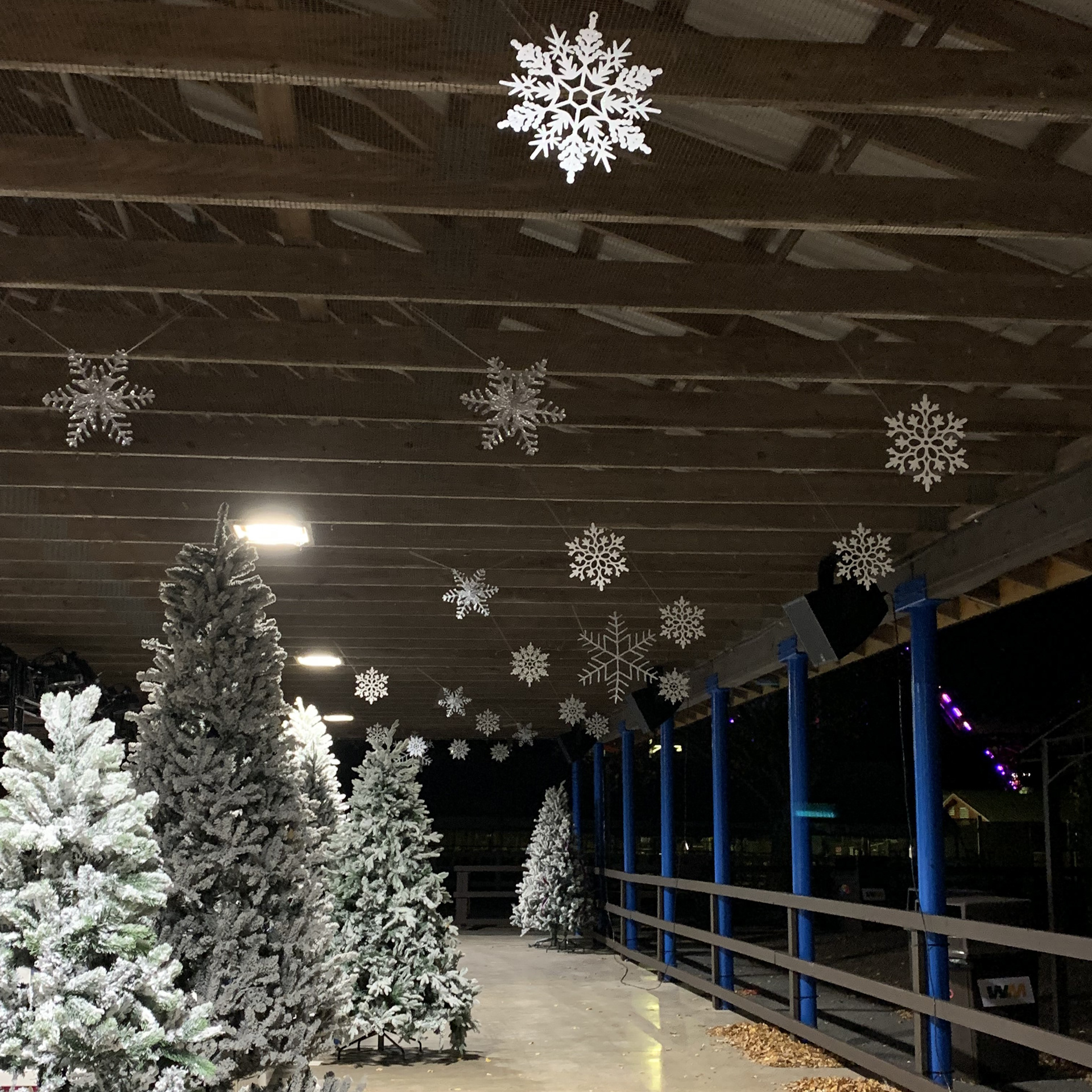 Finished Snowflakes