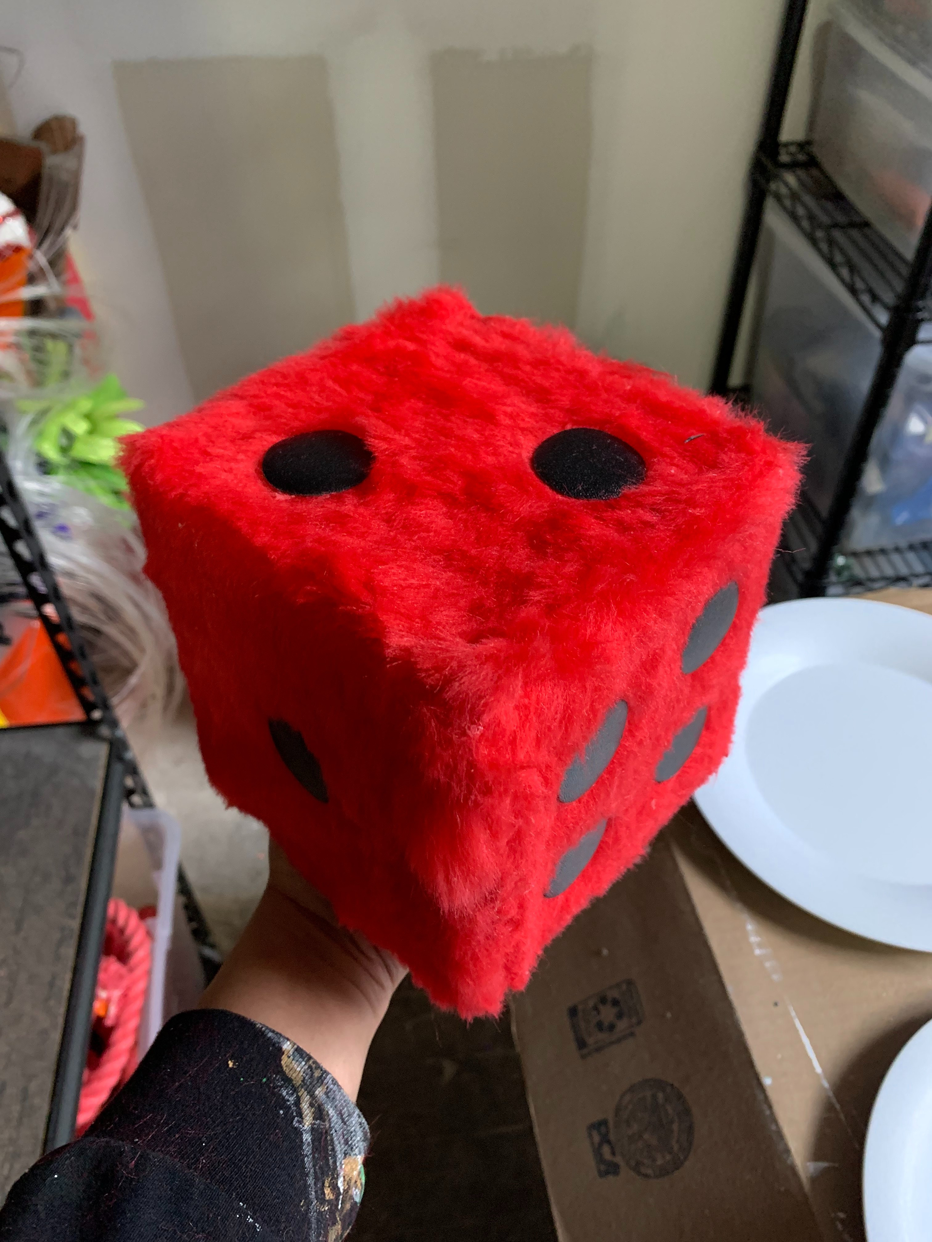 Custom 5" Dice