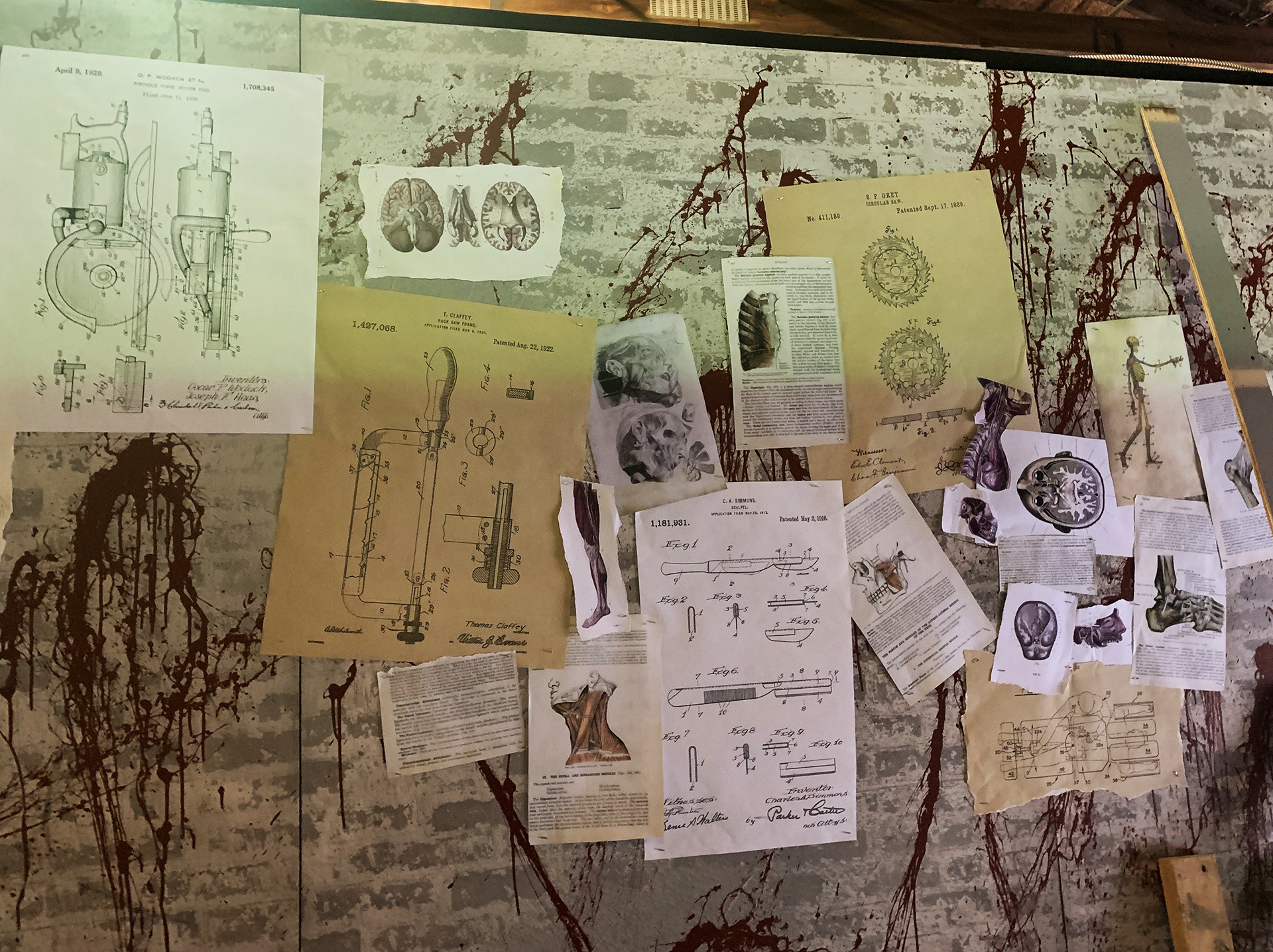 Kramer's Lab Walls