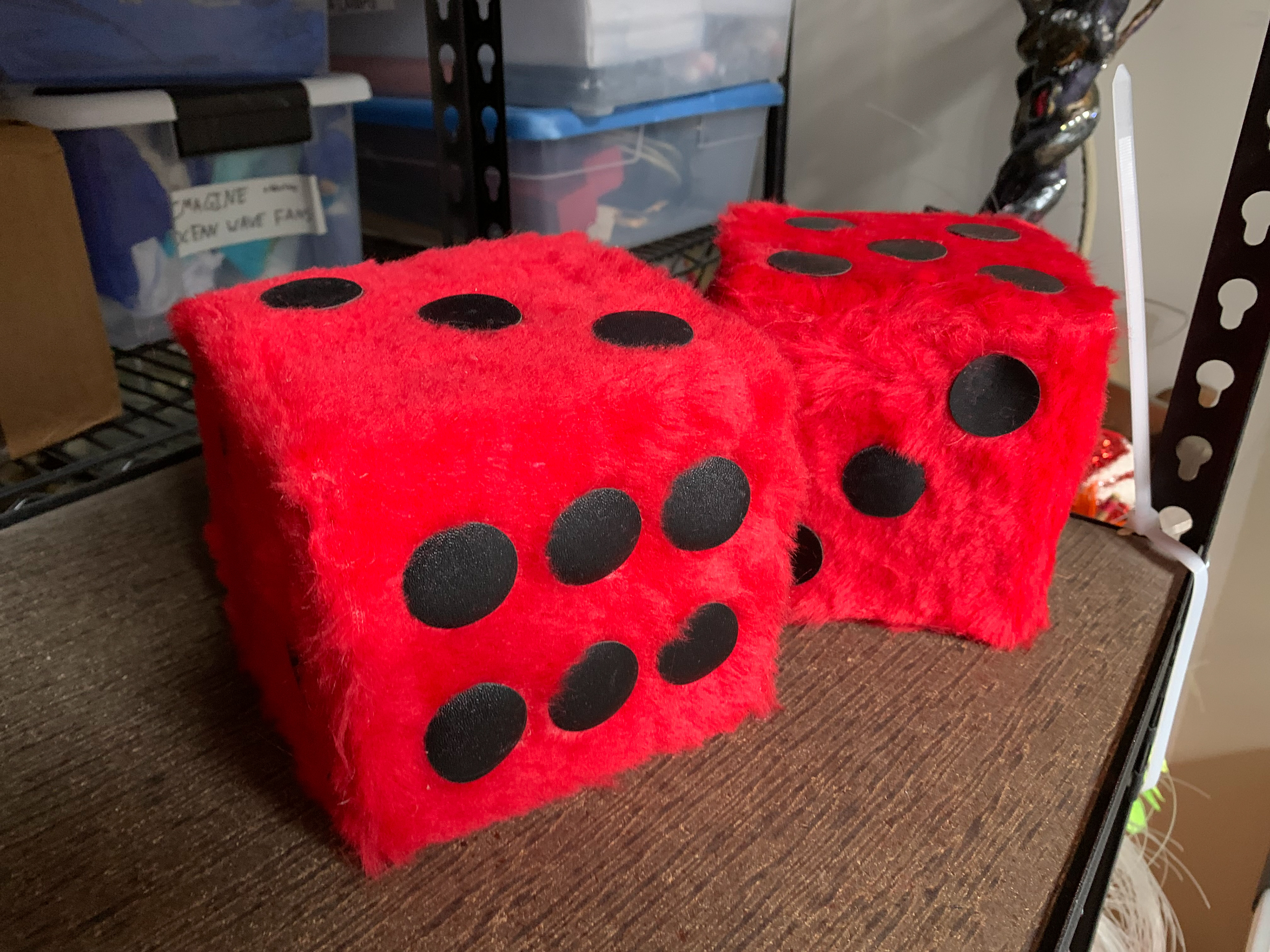 Pair of Custom Dice
