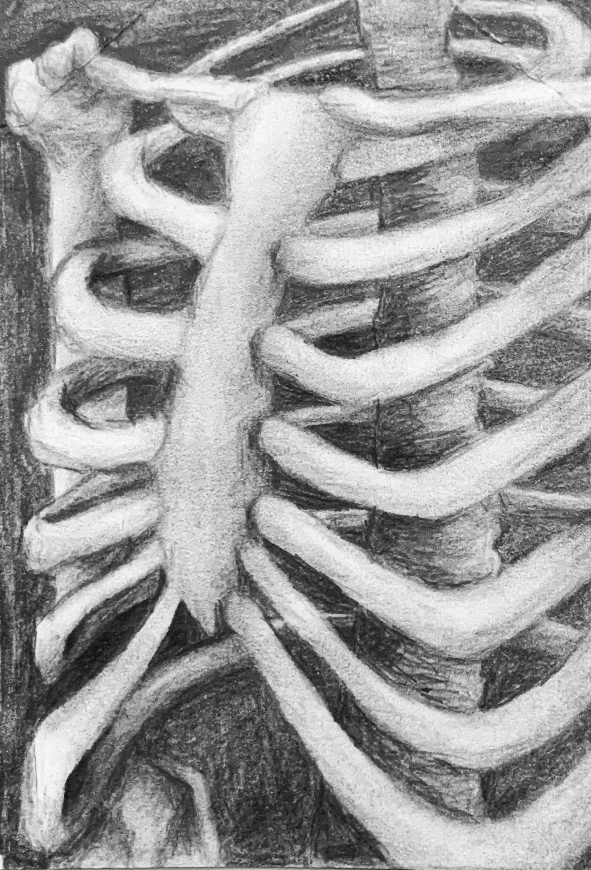 Bones Graphite