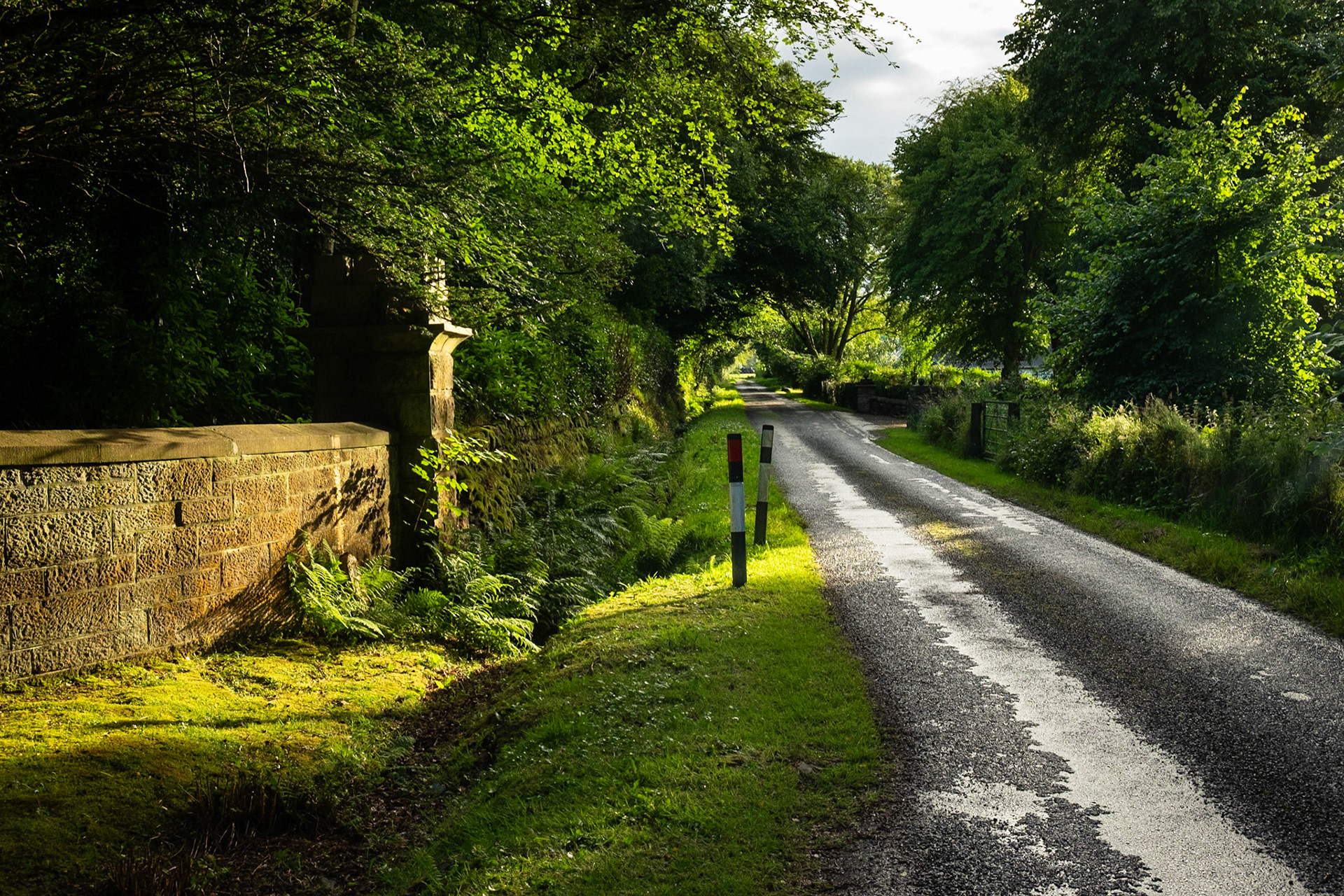Glen Aldie in July