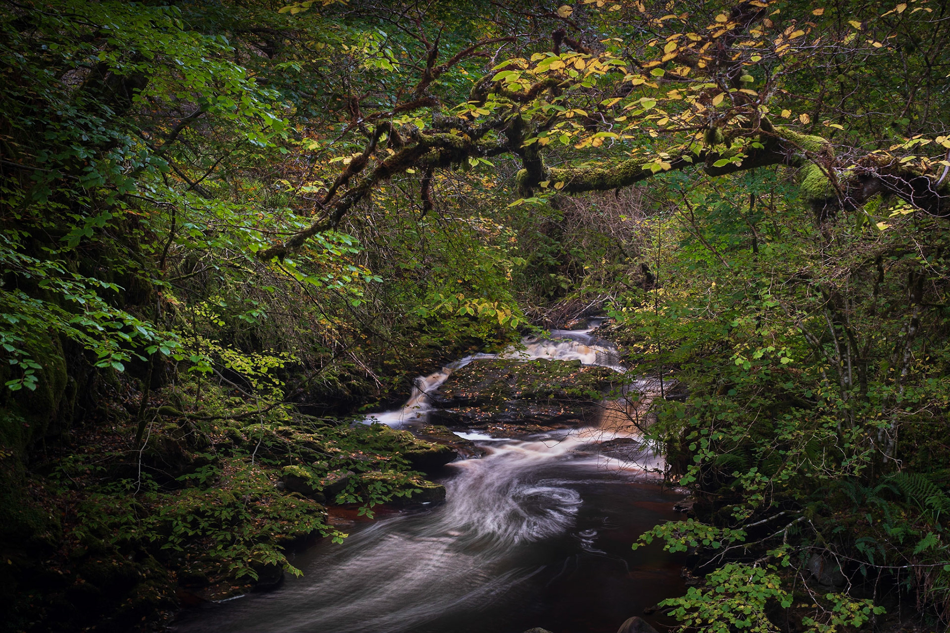 Careful choice of shutter speed keeps a sense of motion in the water without losing the patterns it creates.