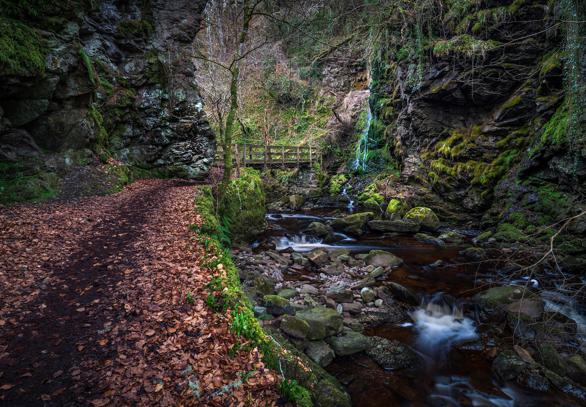 A competition judge looked at this photograph and remarked that he could imagine fairies sitting on the rocks.  I know what he meant.