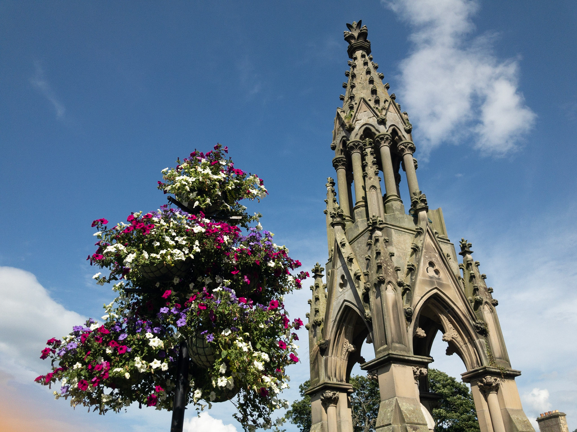 Summer Flowers at Tain (L/scape)