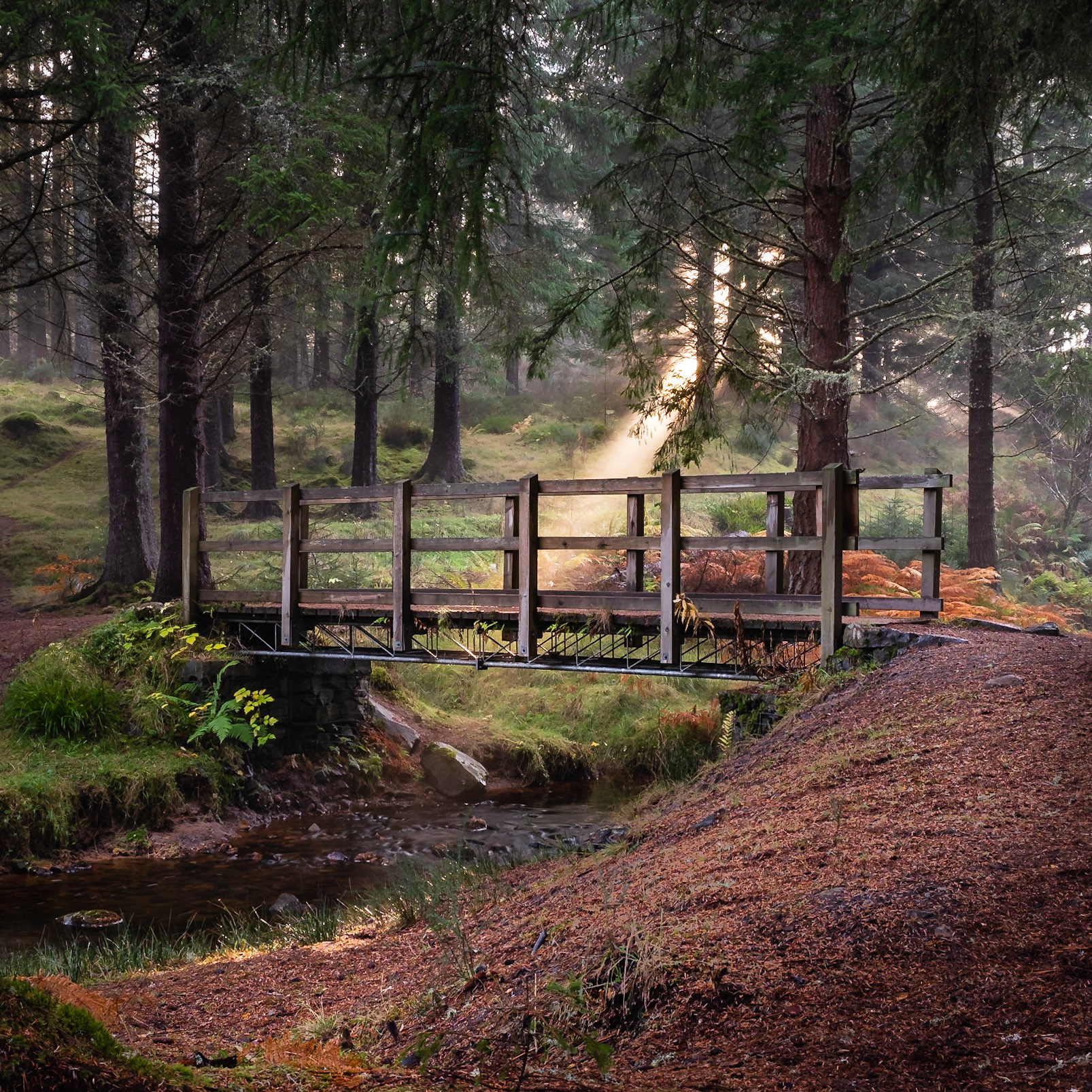 There was just enough mist in the air to form this sunbeam breaking through the trees at a popular beauty-spot.
