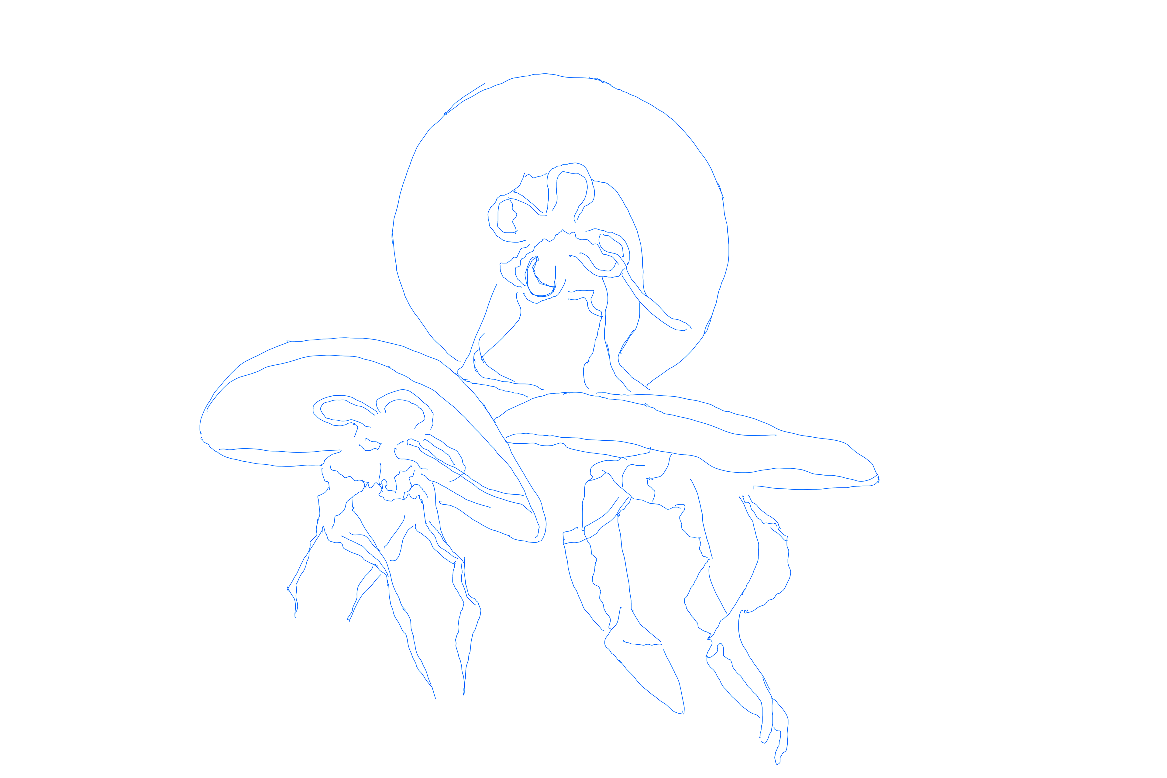 Rough Sketch