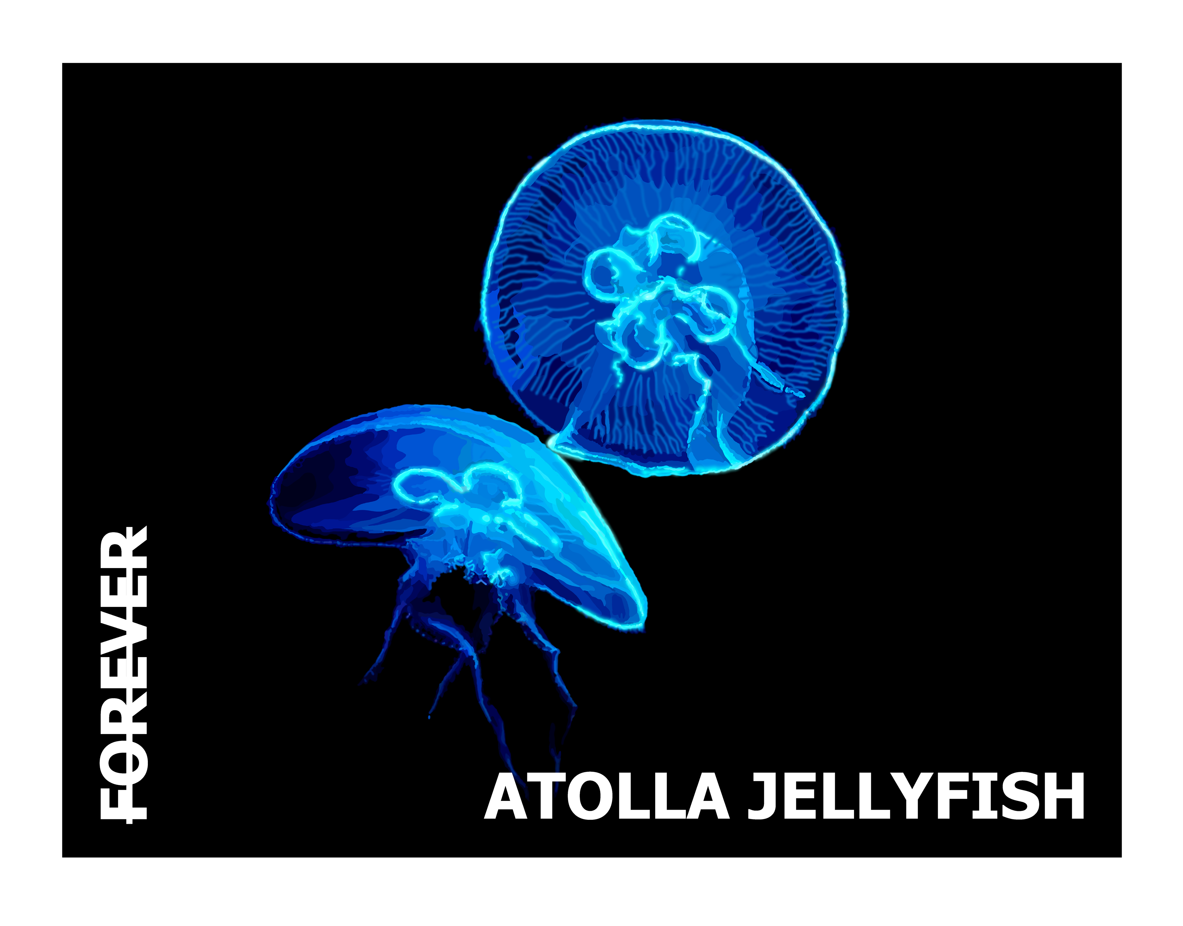 Final Stamp Design