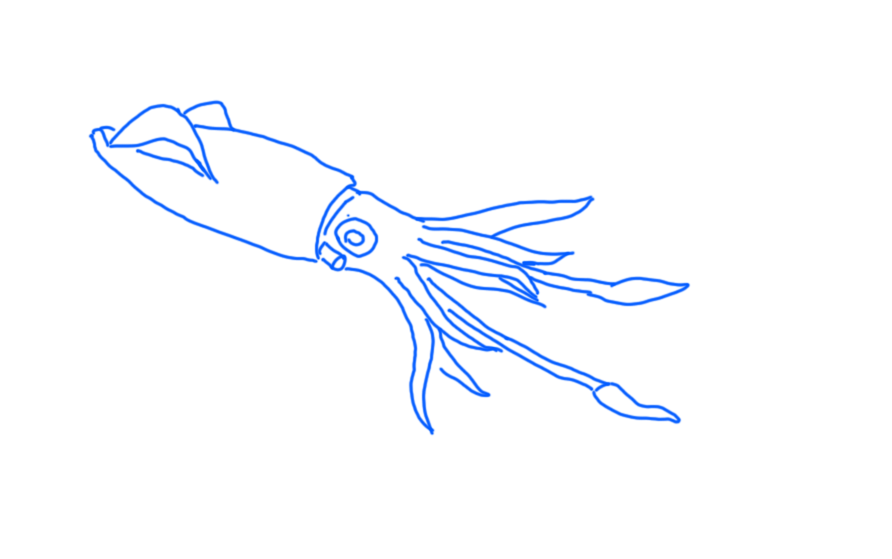 Firefly Squid Rough Sketch