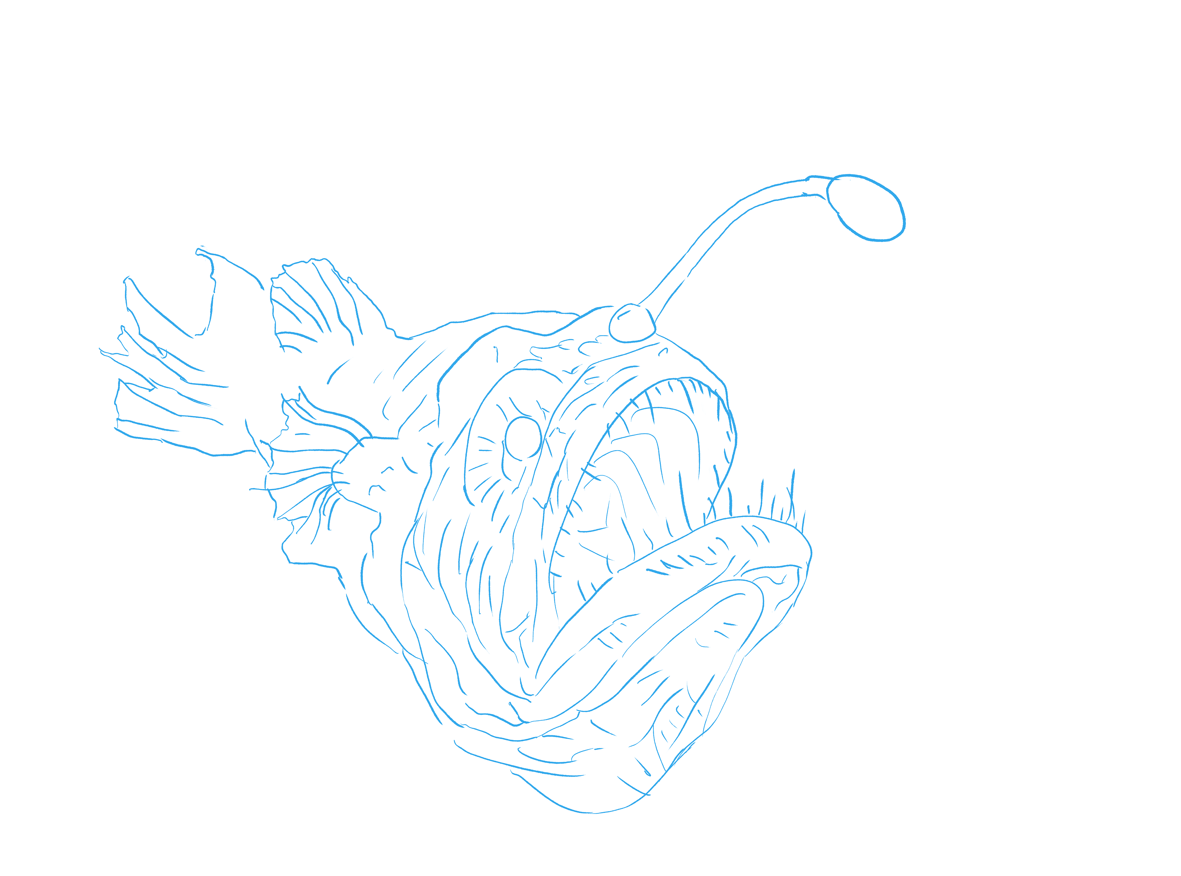 Anglerfish Rough Sketch