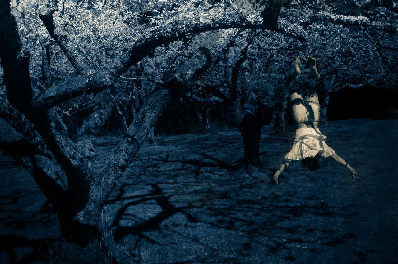 Unknown photographer’s spirit guide