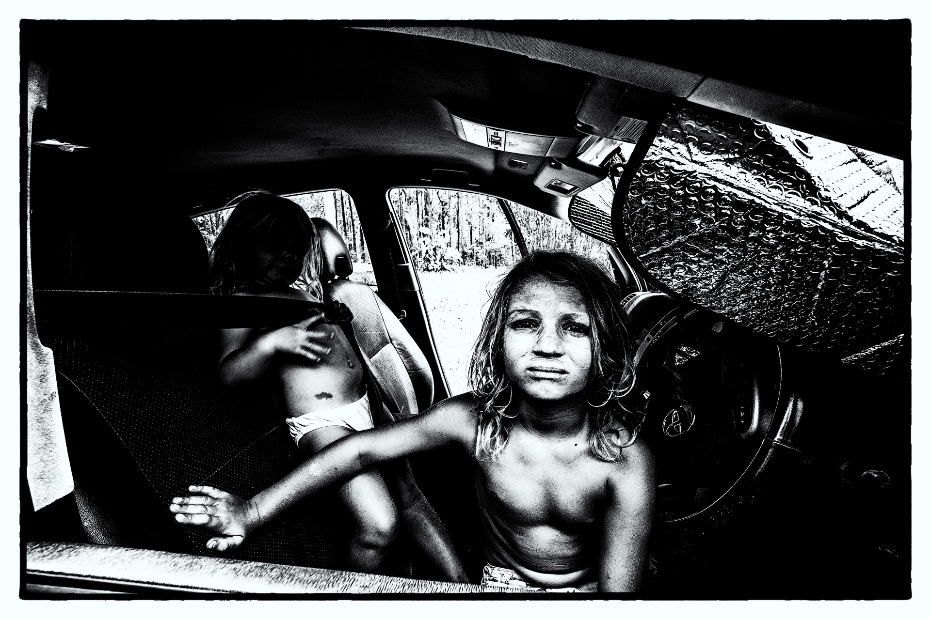 Lyon and Chilli in a hot Toyota Prius