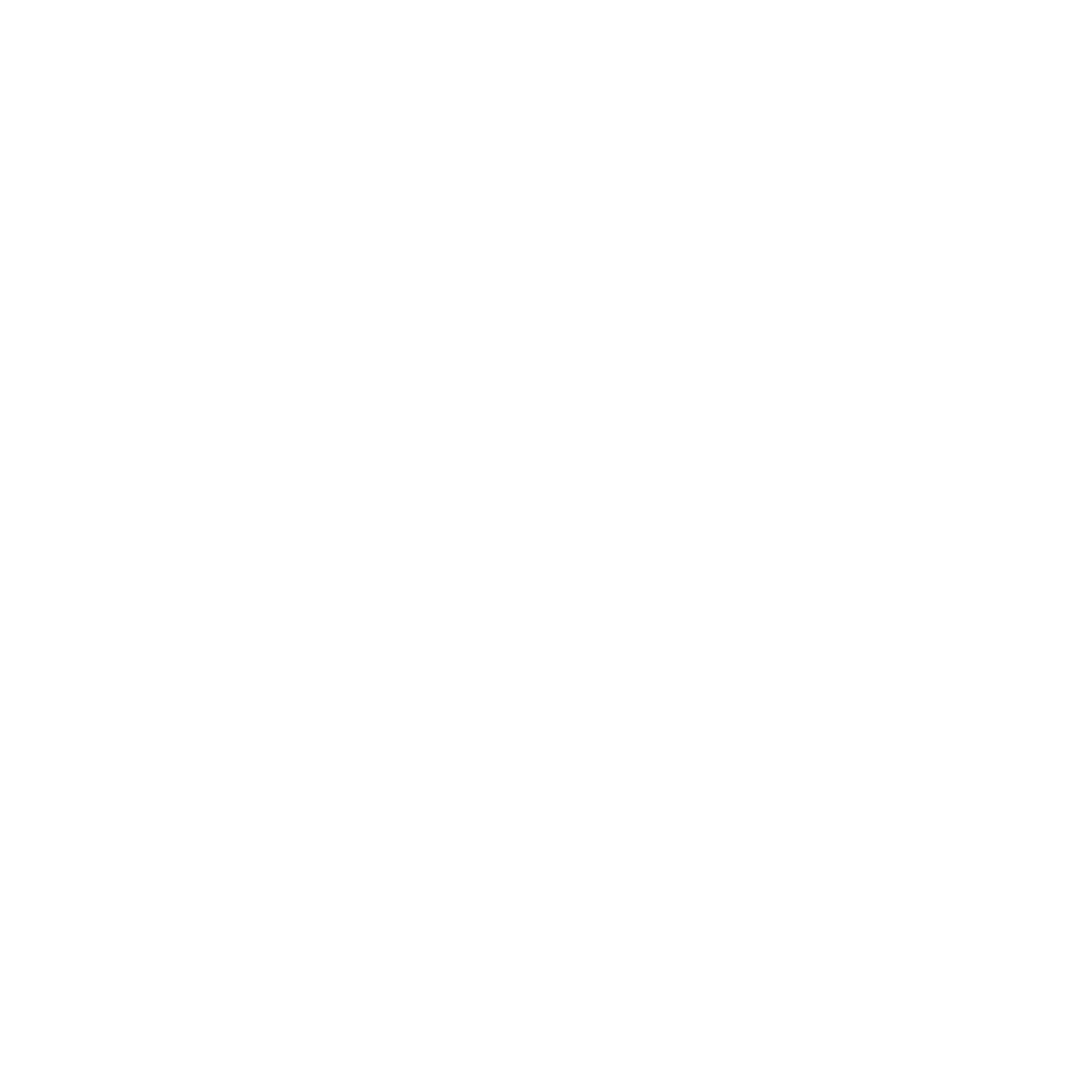 RAVEN & PONY