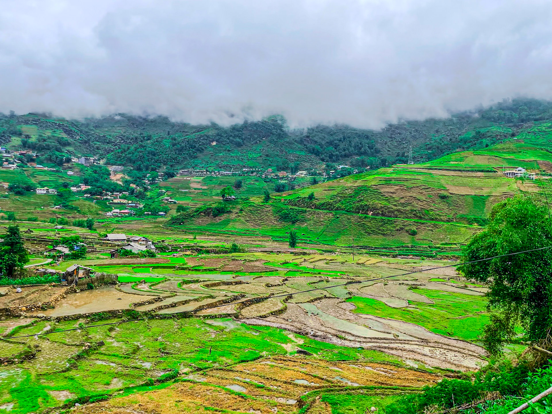 Rice Terrace View from Lao Chai Ta Van
