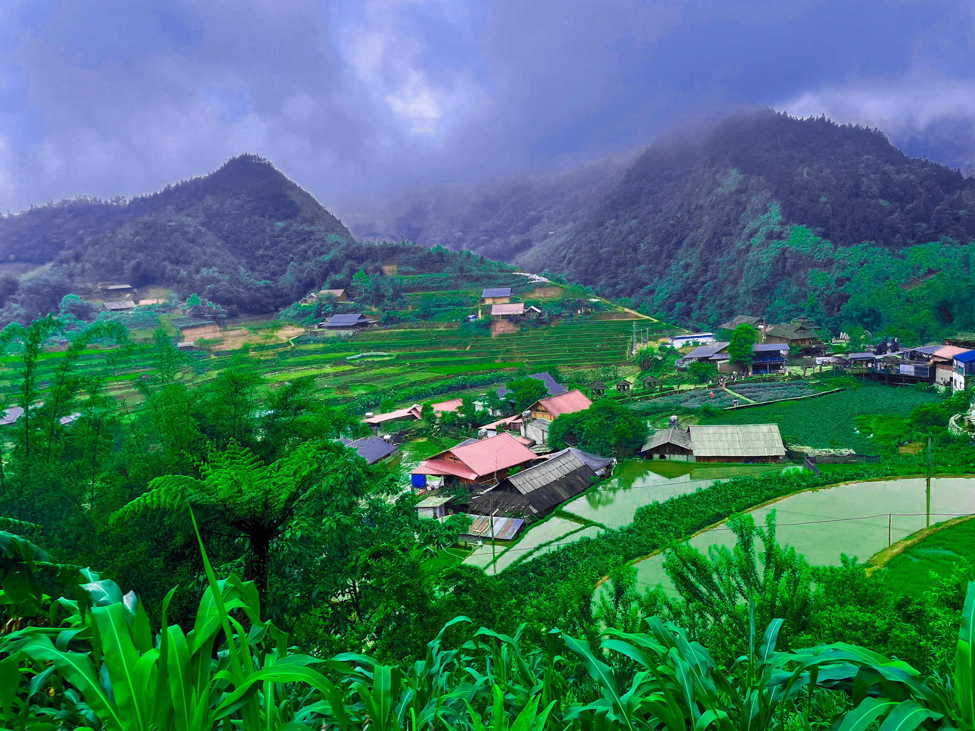 Rice Terrace View from Cat Cat Village SAPA