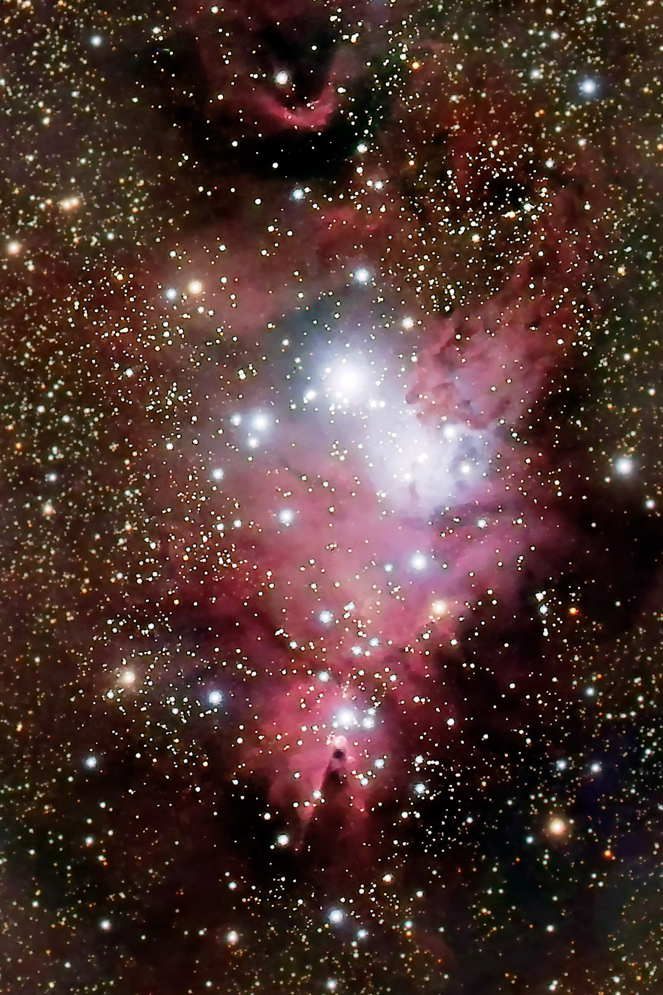 Christmas Tree Cluster