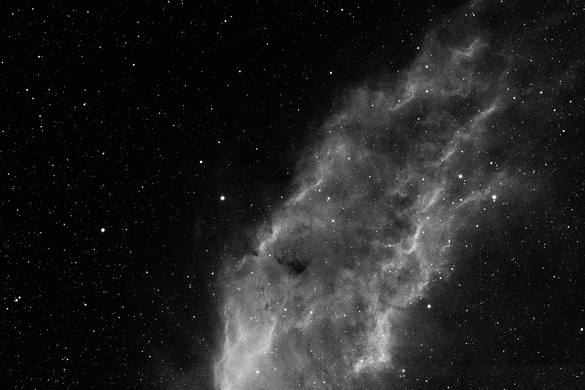 California Nebula in Ha