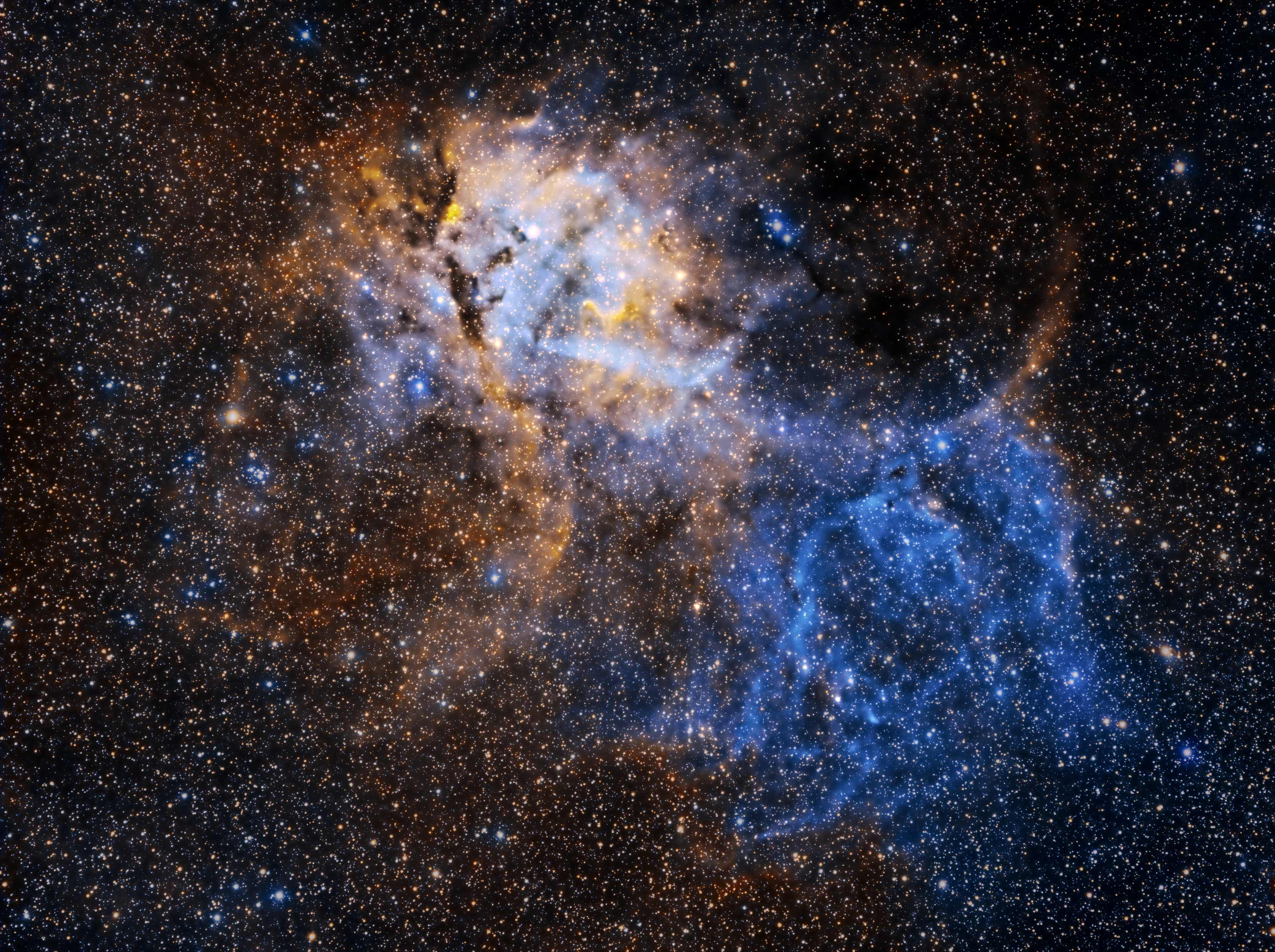 SH2-132, also known as The Lion Nebula (can you see the lion?), is a rich HII region with star clusters, emission nebulae, and dark dust regions. Located in the southern portion of the constellation Cepheus, the Lion Nebula is roughly 10,00 light-years away in the Perseus Arm of the Milky Way Galaxy.  This is primarily an emission nebula with some massive stars responsible for ionizing the gas in this region. In particular, two Wolf-Rayet stars have been identified - with the designation HD 211564 and HD 211853.  Wolf-Rayet stars are huge and hot and have a white-blue coloration. These stars are at least 20 times more massive than our Sun and can be hundreds of thousands or even millions of times brighter! In addition, they tend to be eruptive and possess extremely high solar winds.  This whole region is believed to be an area of new star formation.