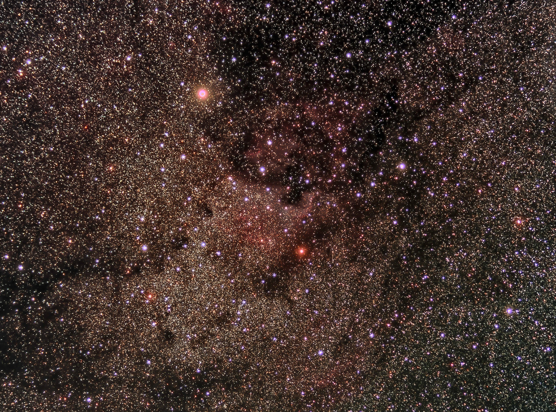 Ever wonder what you could see if you had very sensitive eyes? This shot was taken with a Canon 70mm lens, which is just a little more magnification than your eyes. So, a wide field shot. The only difference is this is a long exposure.  At the center are a couple famous nebulae - the North America and The Pelican. — at Los Angeles Astronomical Society.