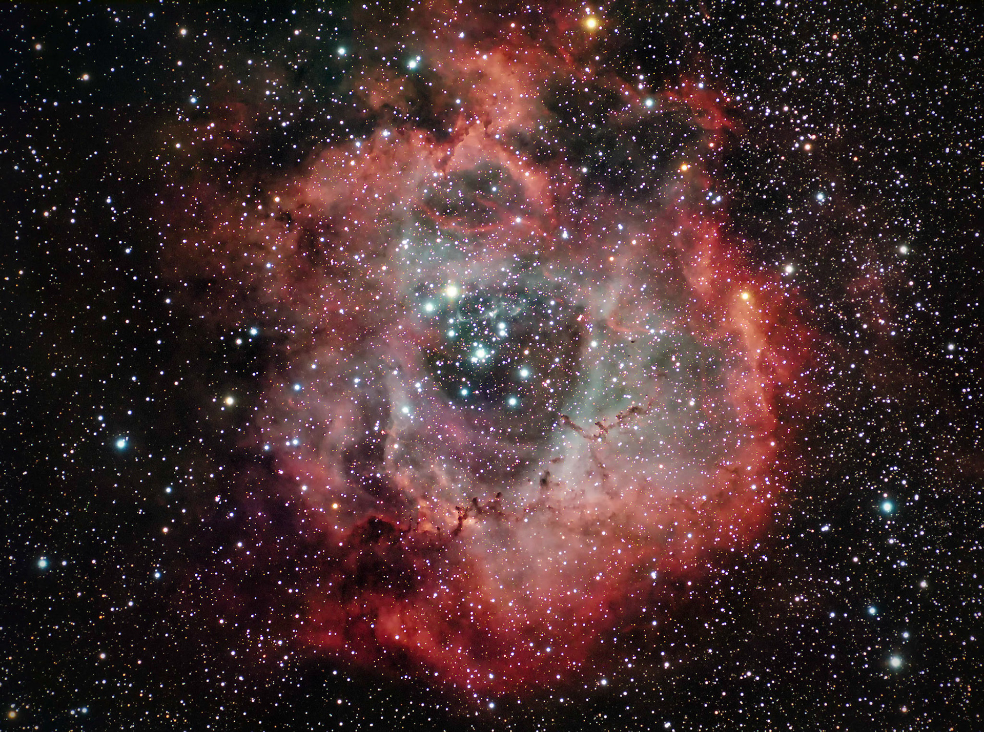 The Rosette Nebula is an H II region located in the Monoceros region of the Milky Way Galaxy. The open cluster NGC 2244 is closely associated with the nebulosity, the stars of the cluster having been formed from the nebula's matter. The radiation from the young stars excites the atoms in the nebula, causing them to emit radiation themselves producing the emission nebula we see in this LRGB image.  A survey of the nebula with the Chandra X-ray Observatory has revealed the presence of numerous new-born stars inside optical Rosette Nebula and studded within a dense molecular cloud. Altogether, approximately 2500 young stars lie in this star-forming complex. Distance: 5000 light years Radius: 65 light years 